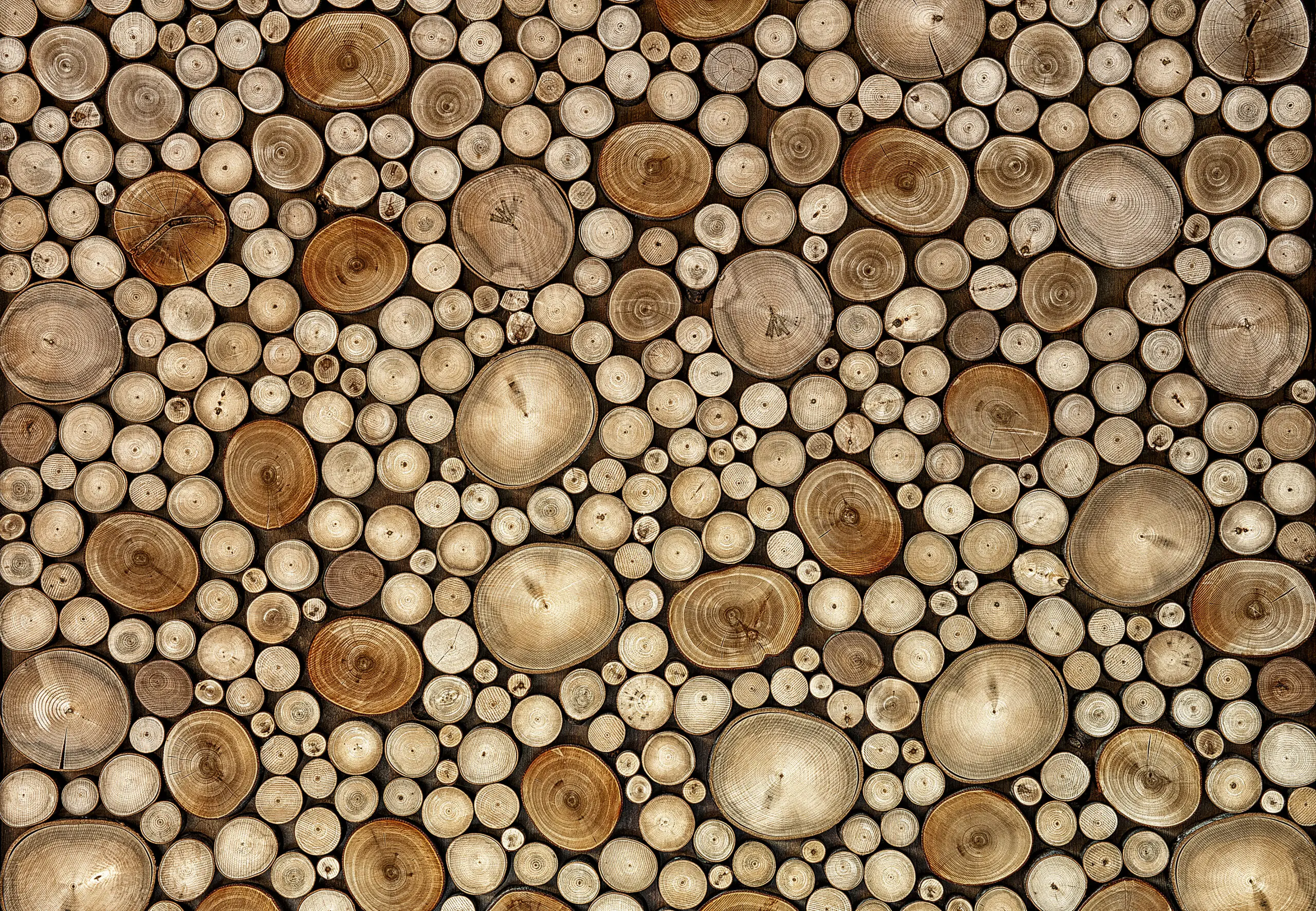 Wandbild (4024) Circles präsentiert: Zen & Wellness,Abstrakt,Natur,Makro,Sonstige Pflanzen