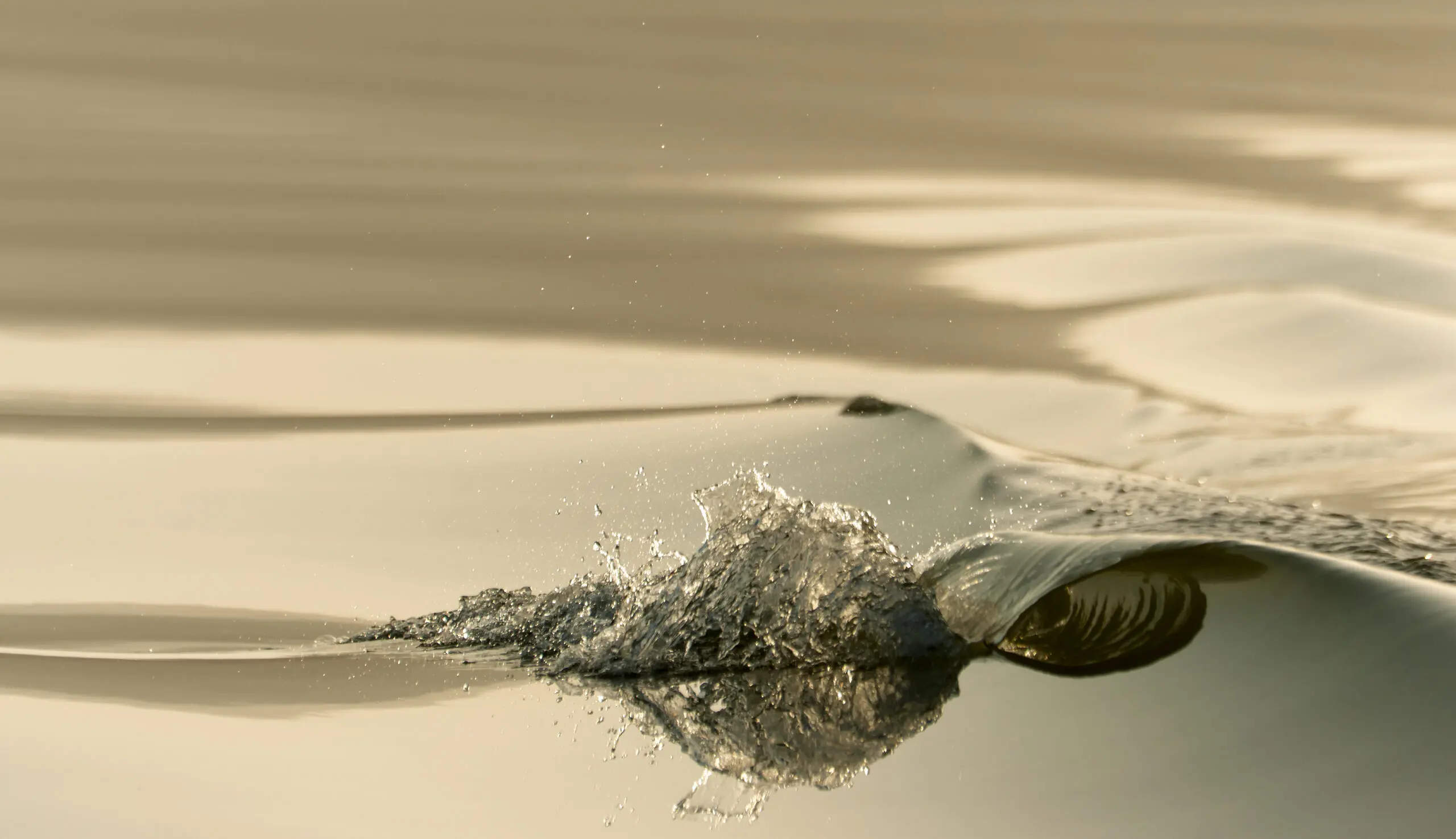 Wandbild (4049) wave präsentiert: Wasser,Wasserspiegelungen,Wassertropfen