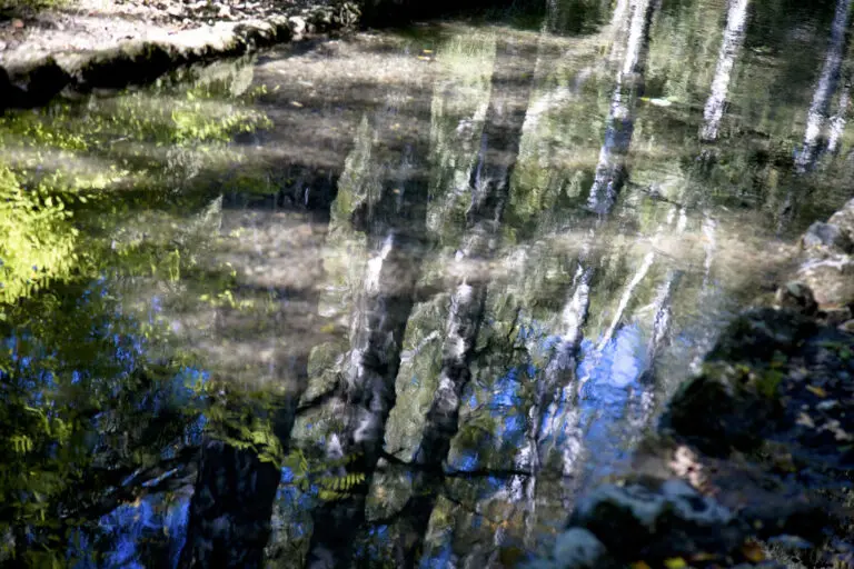  (4071) Spiegelwelten präsentiert:  
