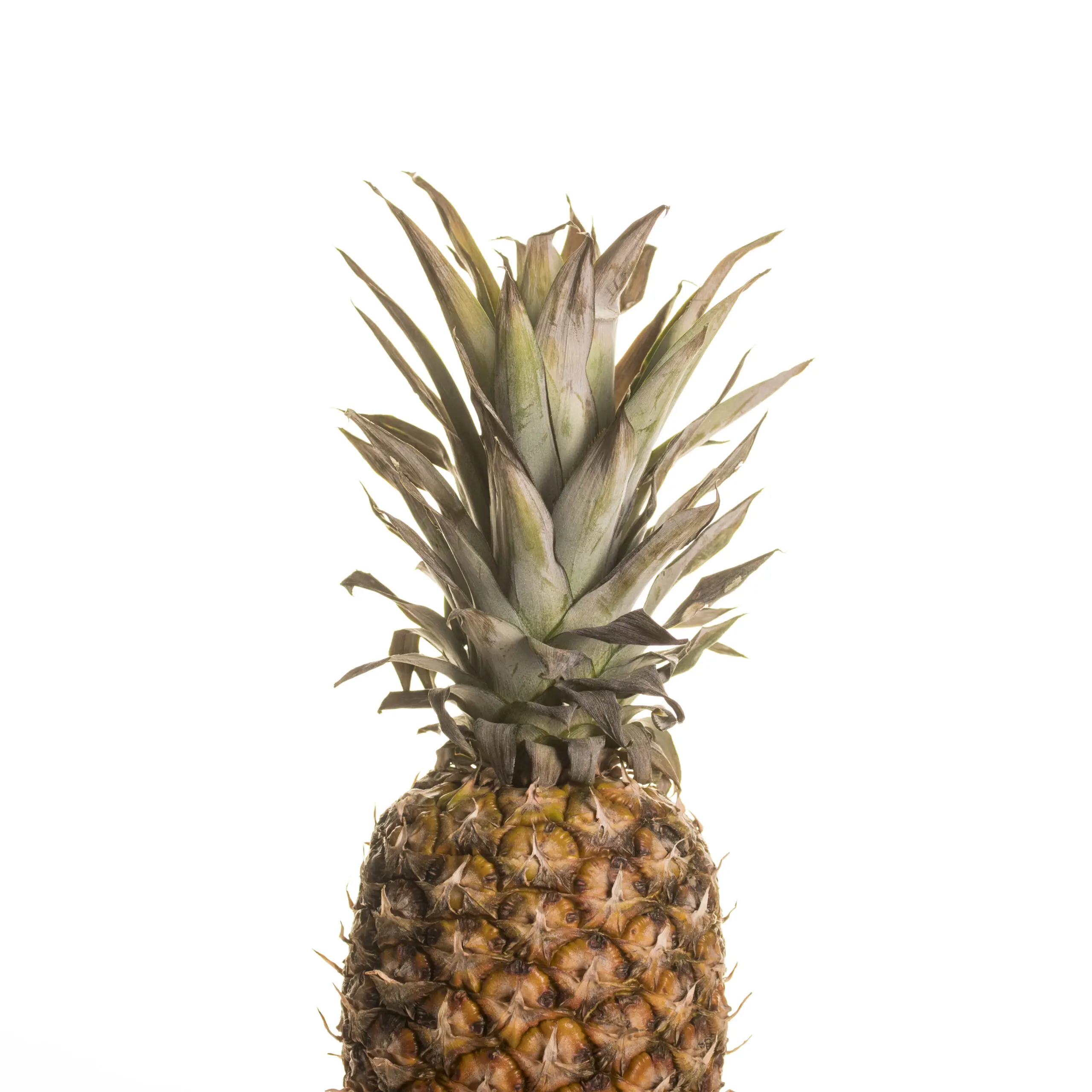Wandbild (4118) Ananas präsentiert: Stillleben,Kreatives,Essen und Getränke,Modern