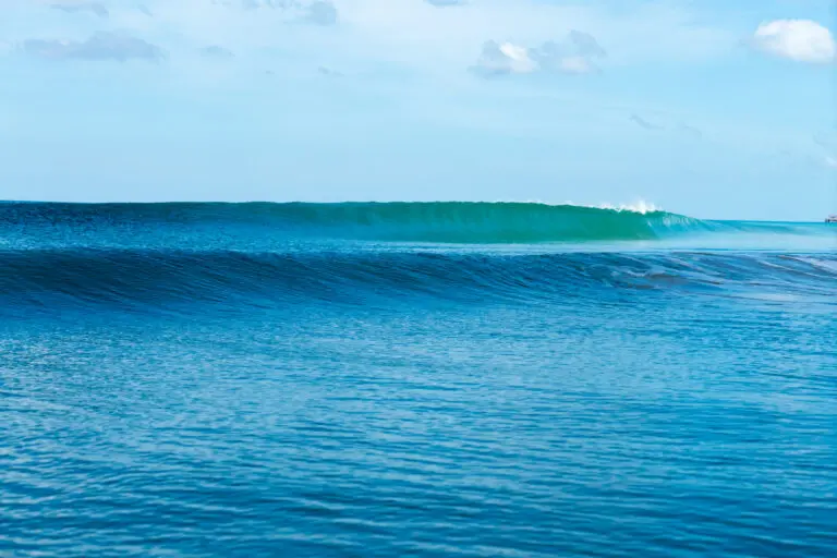Wave Twins
