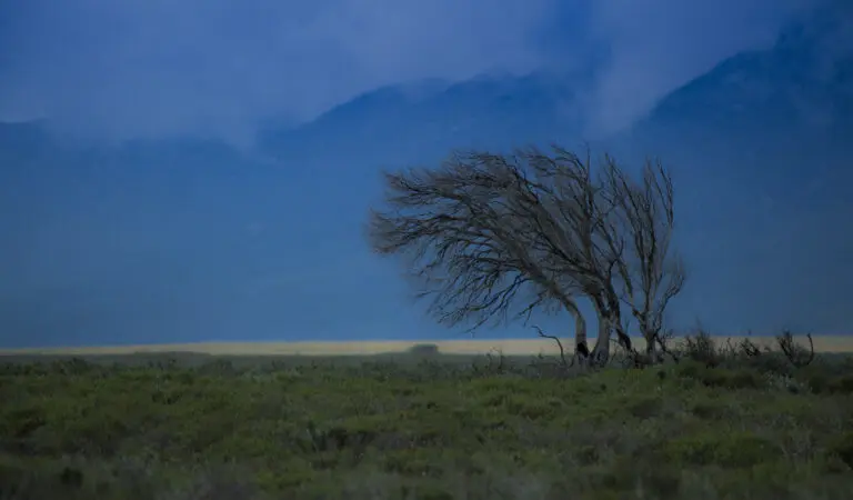 Windy Corner