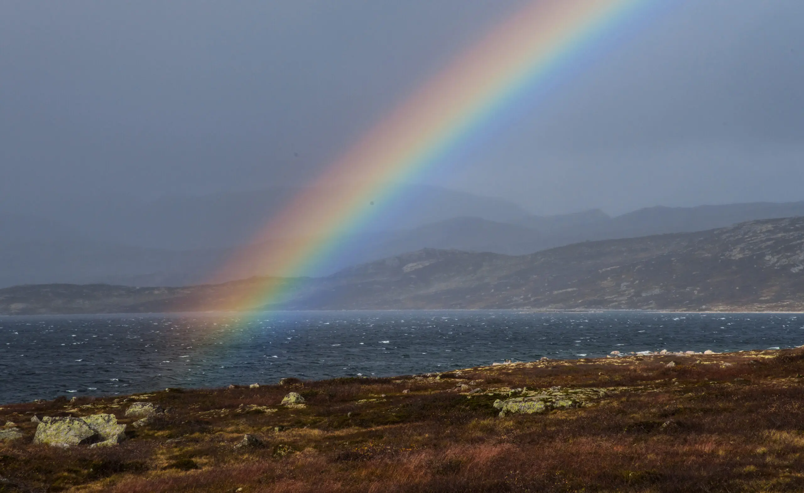 Regenbogen