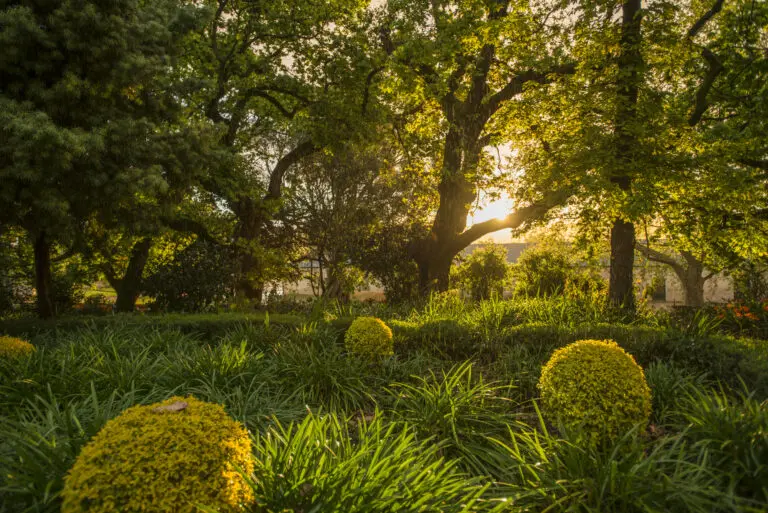  (4437) Sunny Garden III präsentiert: Afrika, Landschaften