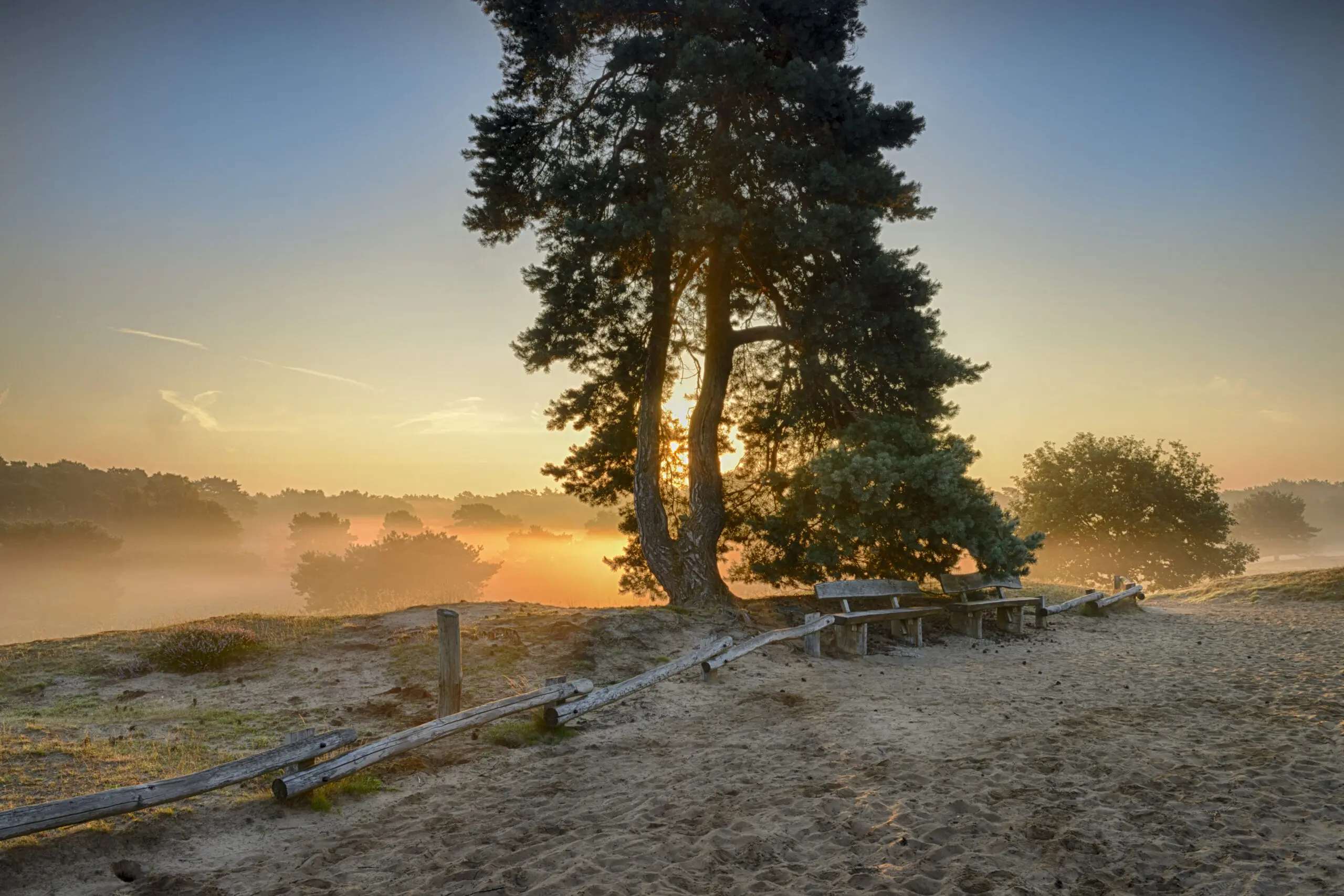 Wandbild (4462) Jockschat Heinz-Joachim, Sonnenuntergang präsentiert: Natur,Landschaften,Bäume,Sonstige Pflanzen,Schnee und Eis,Herbst