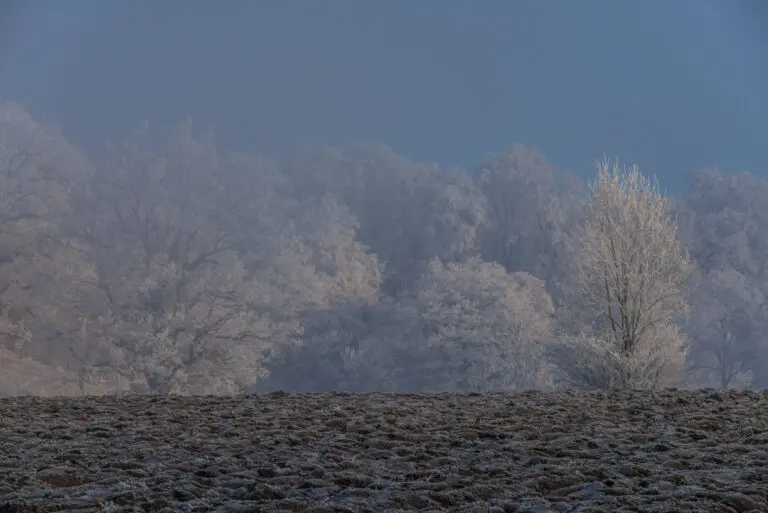  (4488) Winterlandschaft präsentiert: Landschaften, Winter