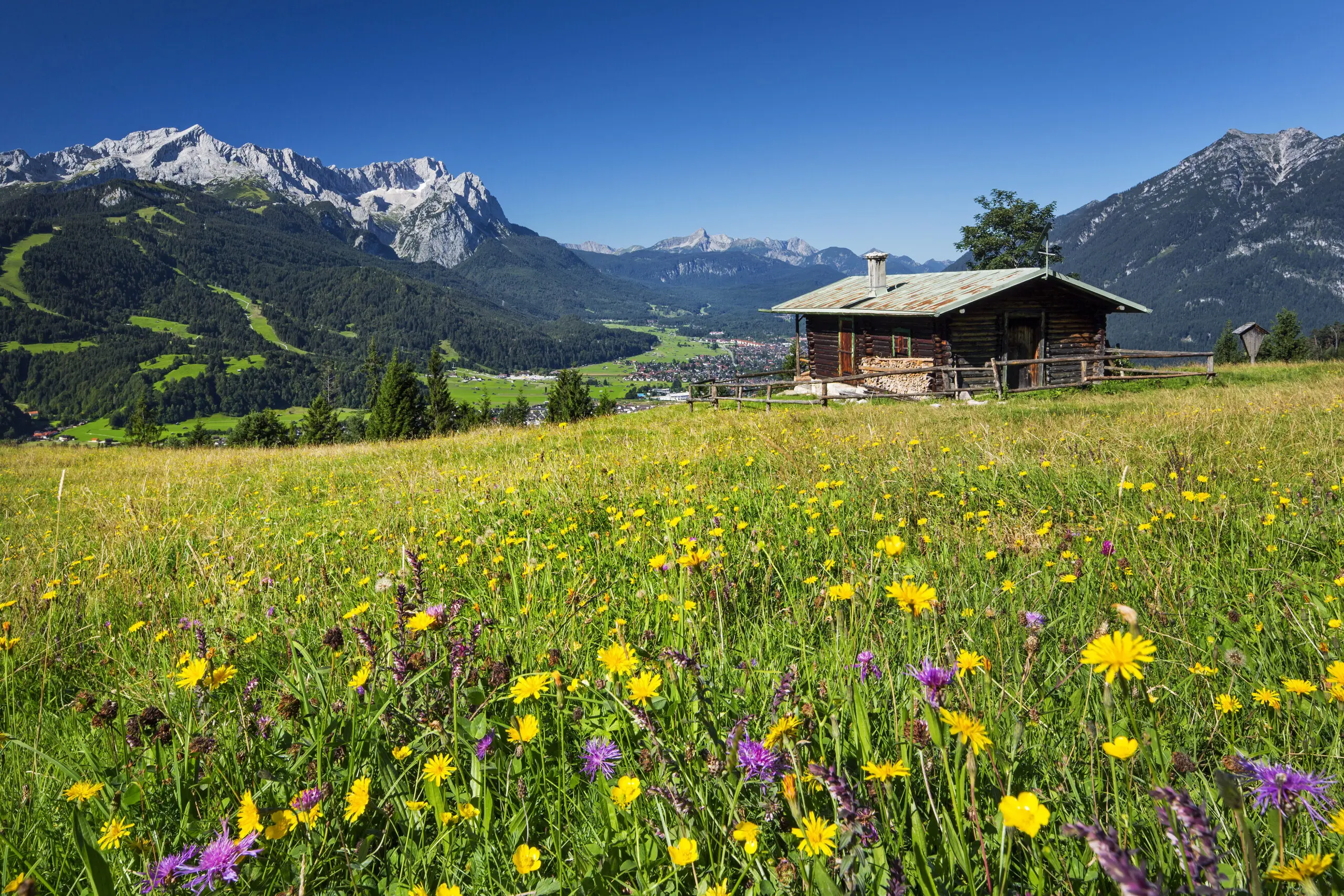 Wandbild (4660) Schmid Reinhard – Eckenhütte am Wank präsentiert: Architektur,Natur,Landschaften,Häuser,Sonstige Architektur,Sehenswürdigkeiten,Bäume,Blumen und Blüten,Sommer,Wälder,Berge,Frühling,Herbst
