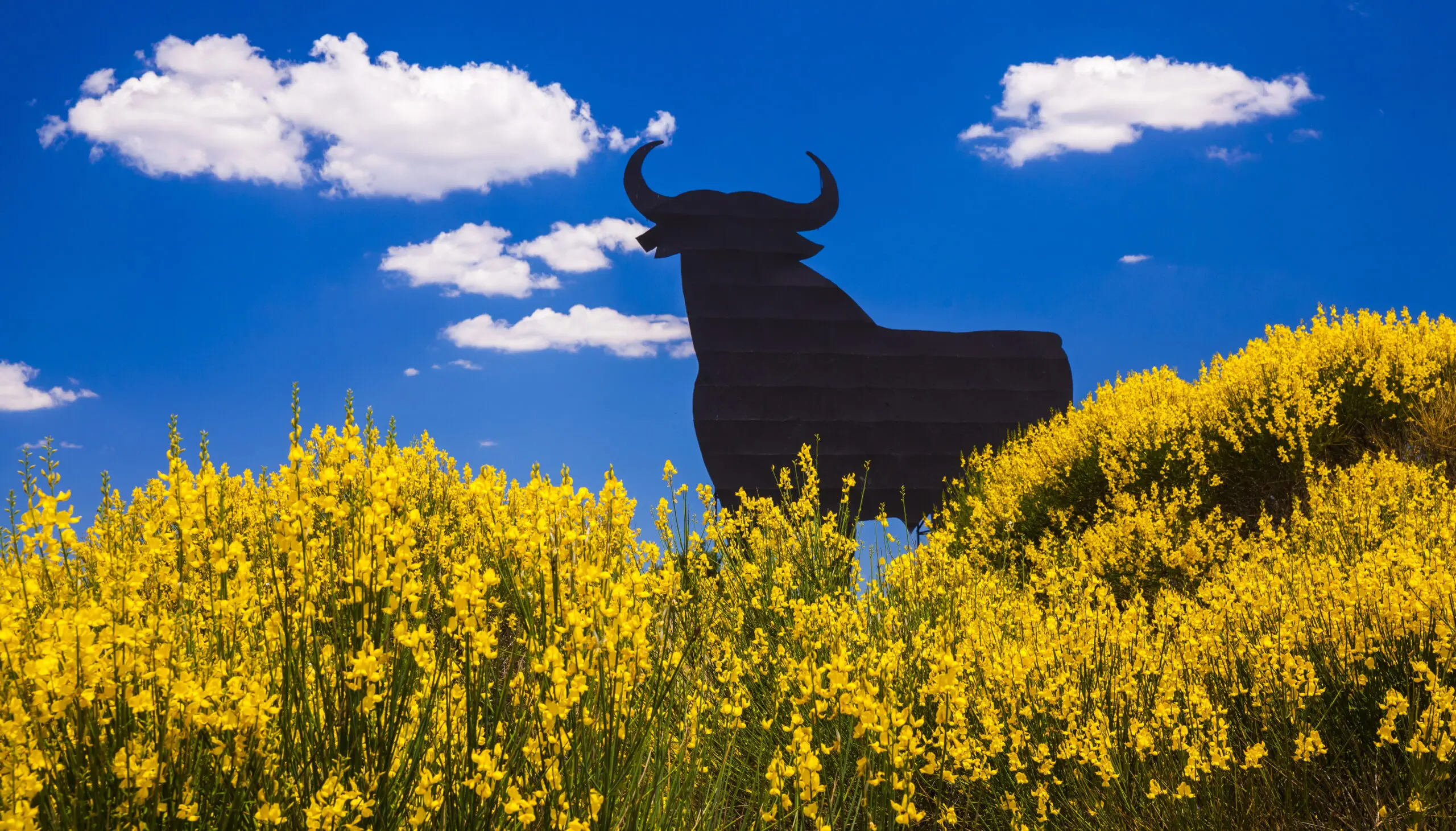 Wandbild (4629) Fantuz Olimpio -La Mancha präsentiert: Kreatives,Tiere,Natur,Landschaften,Blumen und Blüten,Sommer,Frühling,Sonstige Tiere,Sonstiges Kreatives