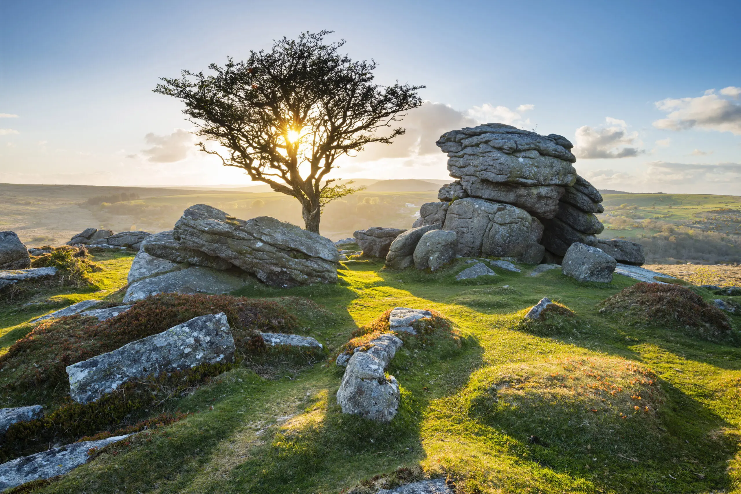 Wandbild (4616) Foulkes Justin – Dartmoor National Park präsentiert: Details und Strukturen,Natur,Landschaften,Bäume,Blumen und Blüten,Sonstige Pflanzen,Gräser,Sommer,Wälder,Wege,Berge,Frühling,Herbst,Steine,Sonstige Naturdetails,Erde,Pflanzen