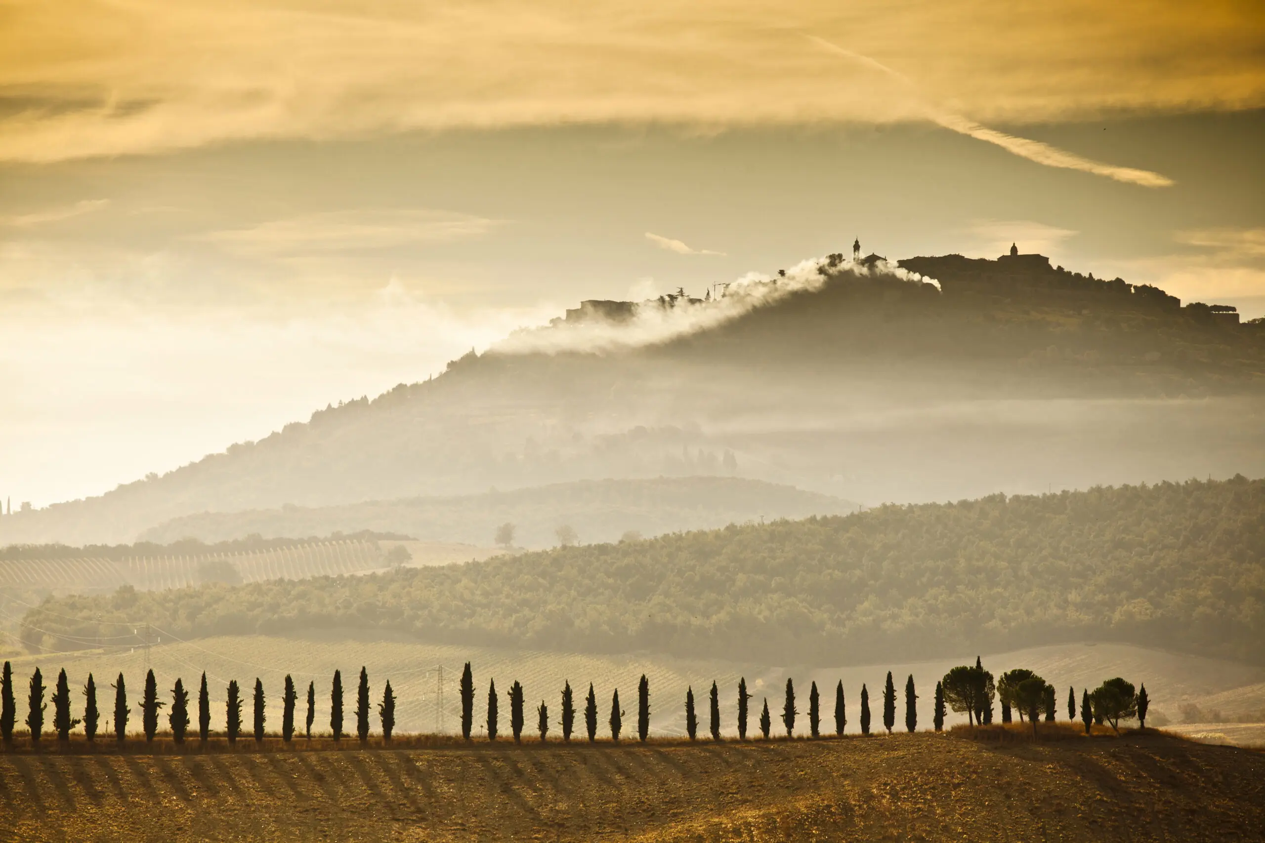 Wandbild (4612) Carassale Matteo – Orcia Tal präsentiert: Kreatives,Natur,Landschaften,Bäume,Sonstige Pflanzen,Sommer,Wälder,Wege,Berge,Herbst,Luftaufnahmen