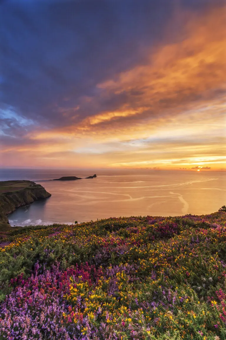  (4606) Stock Billy – Rhossili Bay präsentiert: Bäume, Blumen und Blüten, Herbst, Landschaften, Luftaufnahmen, Meere, Natur, Sommer, Sonstige Pflanzen, Strände, Wasser, Wasserspiegelungen, Wege