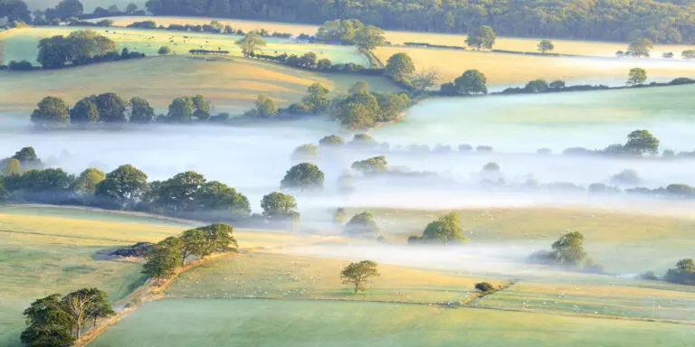  (4596) Warren Chris – East Sussex präsentiert:  
