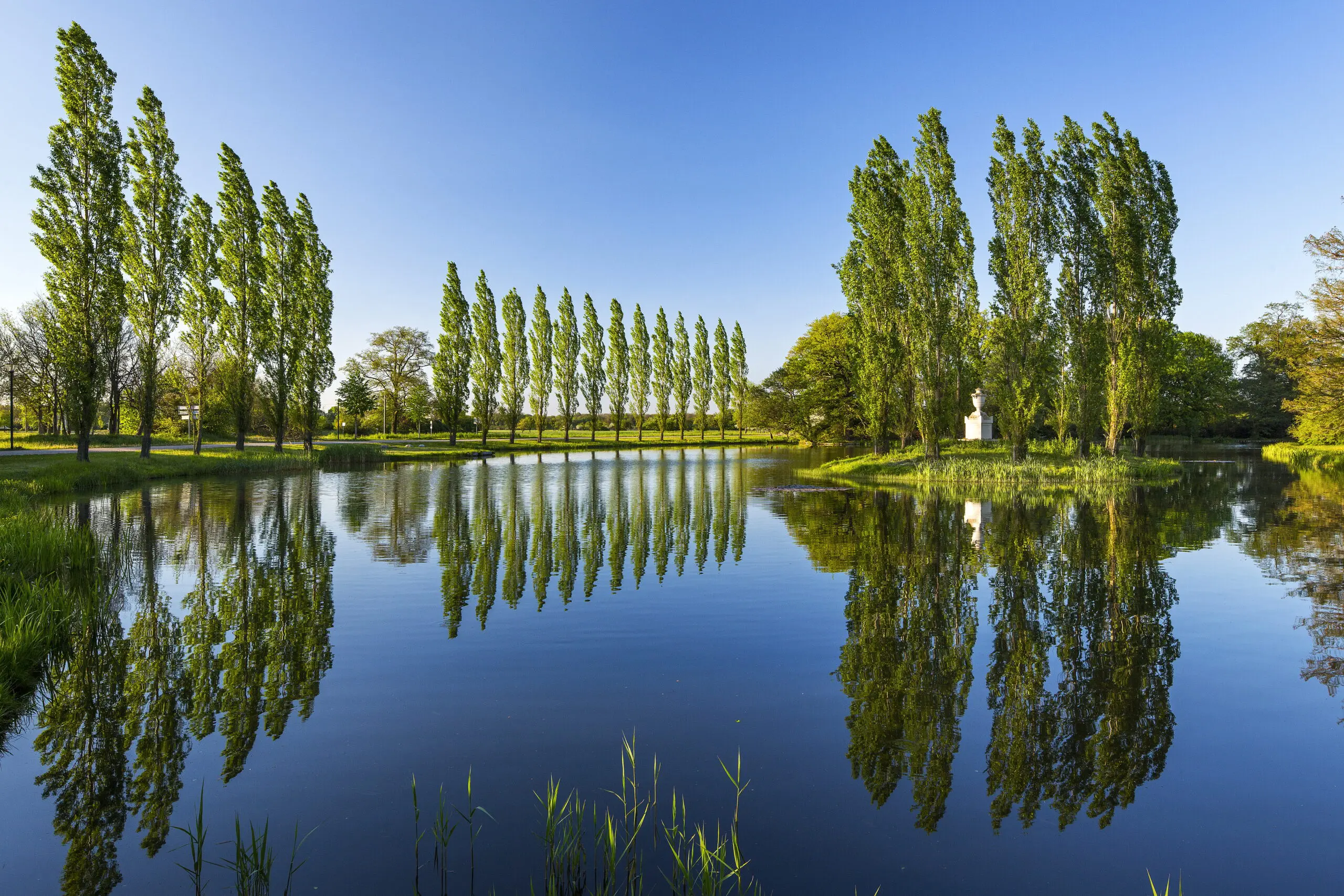 Wandbild (4576) Schmid Reinhard – Rousseau Insel im Wörlitzer Park präsentiert: Wasser,Natur,Landschaften,Bäume,Parkanlagen und Gärten,Sommer,Frühling,Gewässer,Bäche und Flüsse,Seen,Wasserspiegelungen