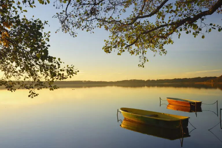  (4573) Dörr C. – Boote auf dem Pätzer Vordersee präsentiert: Bäche und Flüsse, Bäume, Gewässer, Landschaften, Natur, Seen, Sonstige Pflanzen, Stege, Wälder, Wasser, Wasserspiegelungen