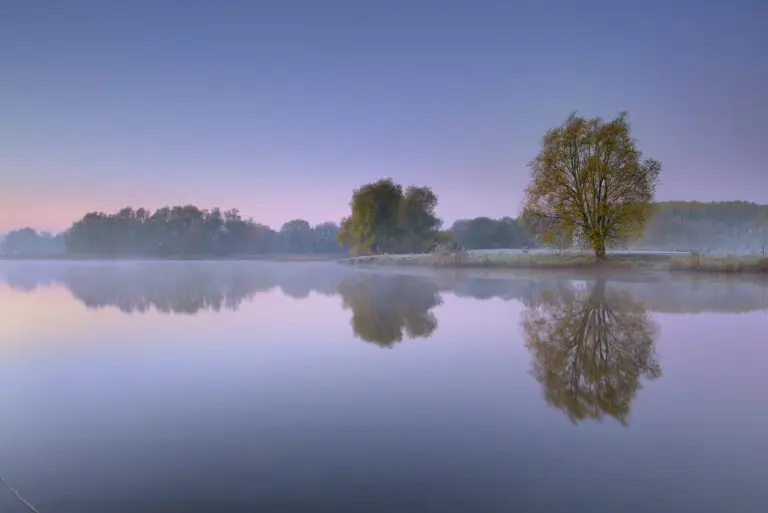  (4572) Dörr C. – Morgenstimmung am Mühlensee 2 präsentiert: Bäche und Flüsse, Bäume, Blätter, Blumen und Blüten, Gewässer, Gräser, Herbst, Landschaften, Natur, Seen, Stege, Wälder, Wasser, Wasserspiegelungen, Winter