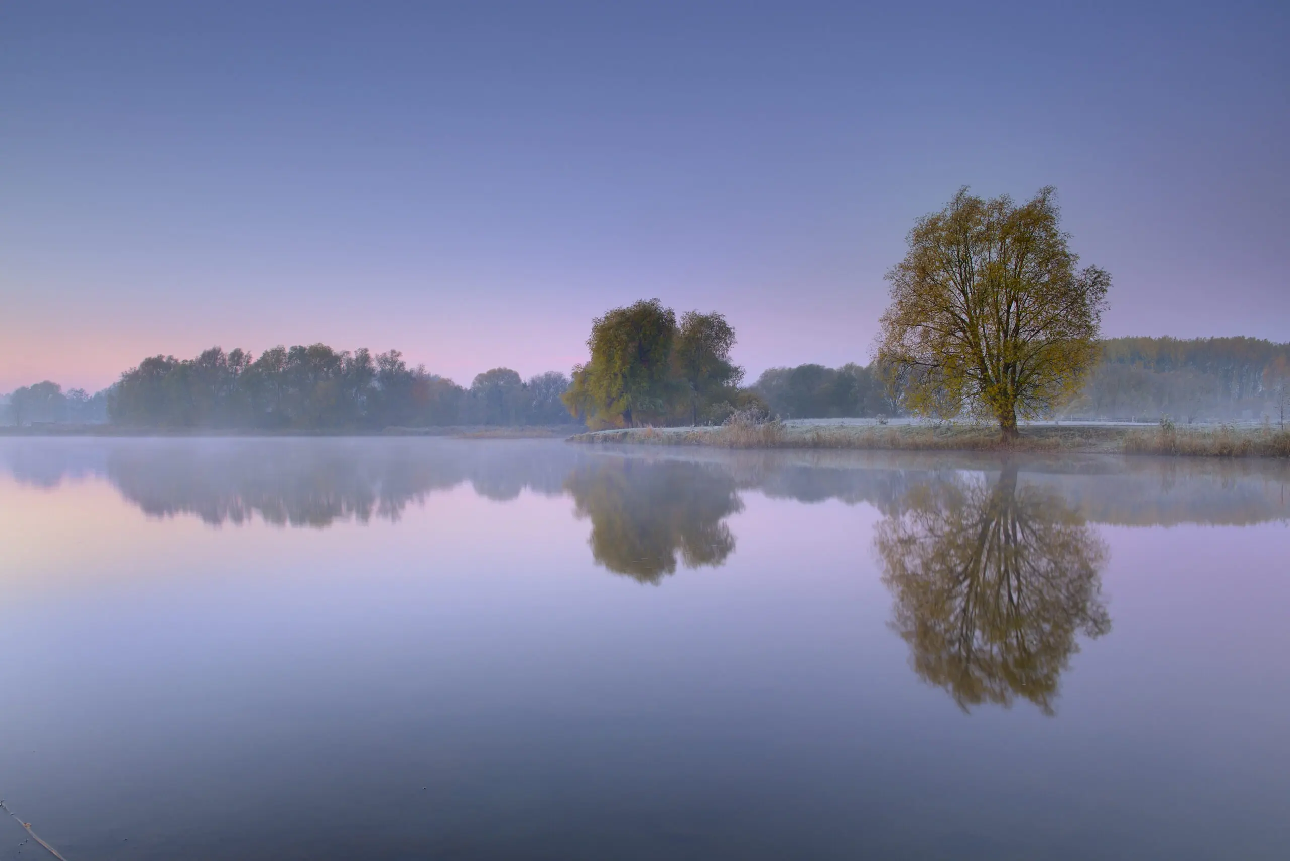 Wandbild (4572) Dörr C. – Morgenstimmung am Mühlensee 2 präsentiert: Wasser,Natur,Landschaften,Bäume,Blätter,Blumen und Blüten,Gräser,Stege,Wälder,Winter,Gewässer,Herbst,Bäche und Flüsse,Seen,Wasserspiegelungen