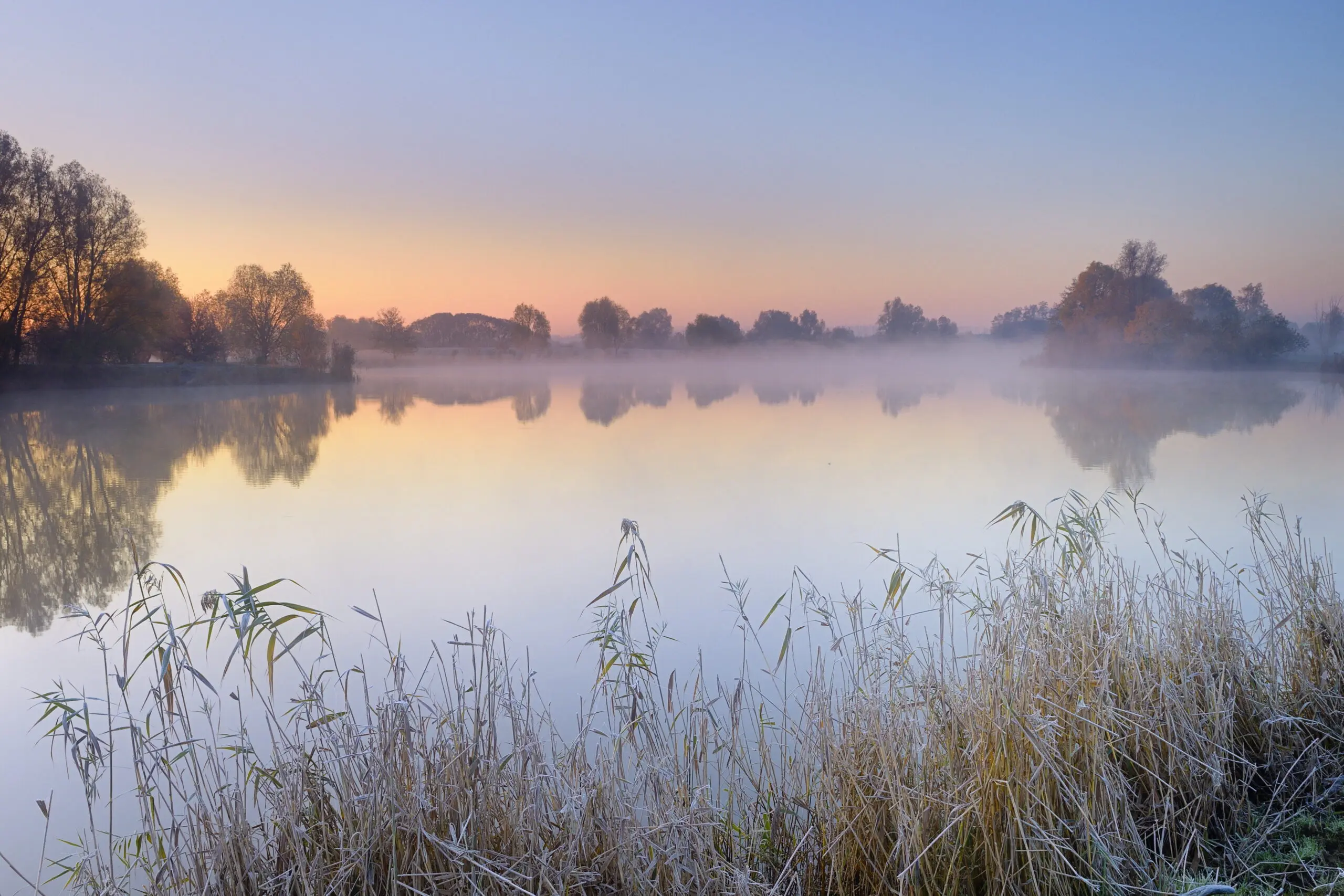 Wandbild (4571) Dörr C. – Morgenstimmung am Mühlensee präsentiert: Wasser,Natur,Landschaften,Bäume,Blätter,Gräser,Stege,Winter,Gewässer,Herbst,Seen,Wasserspiegelungen