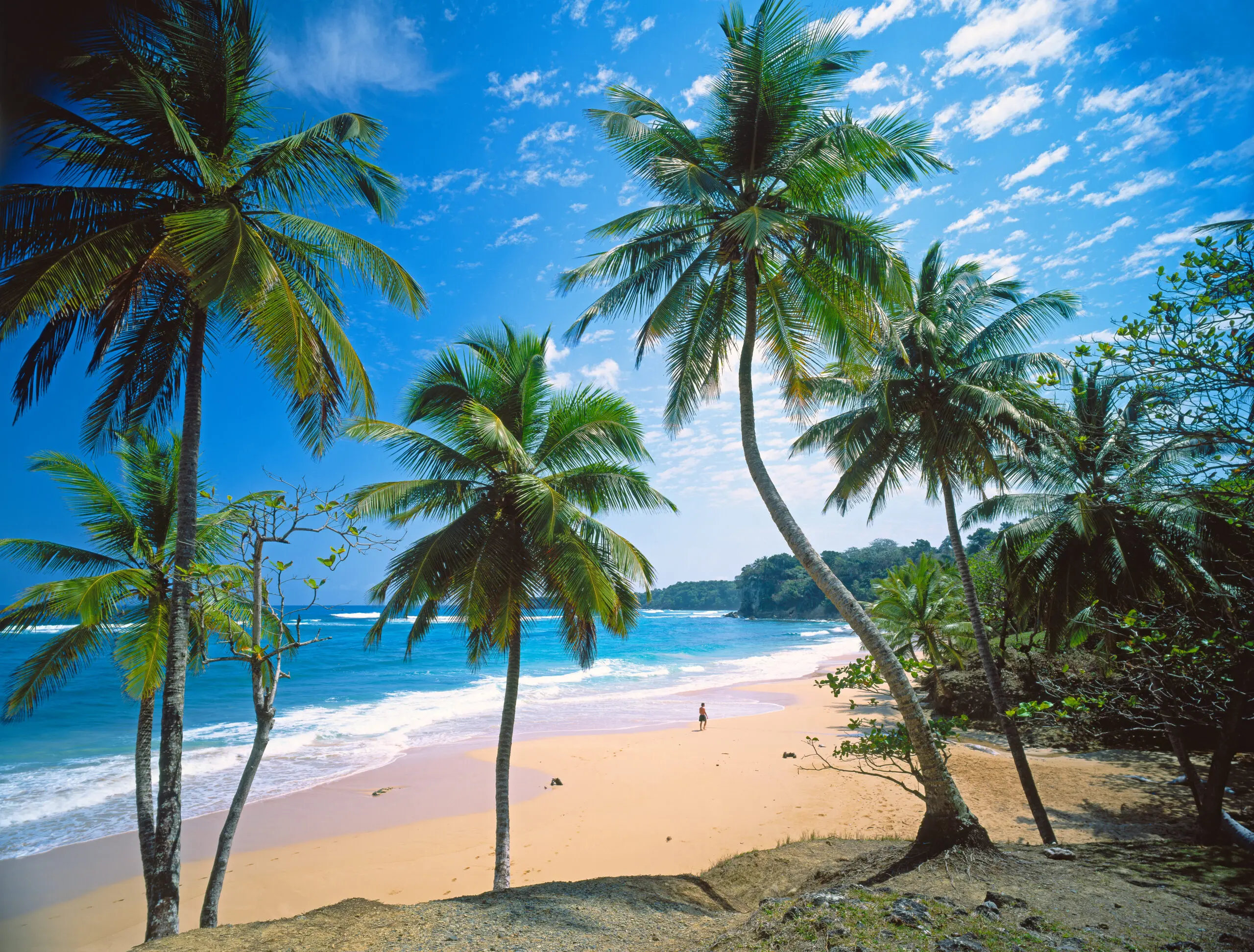 Wandbild (4563) Gräfenhain – Rio San Juan präsentiert: Menschen,Wasser,Natur,Landschaften,Bäume,Farne,Sonstige Pflanzen,Sommer,Strände,Gewässer,Luftaufnahmen,Meere