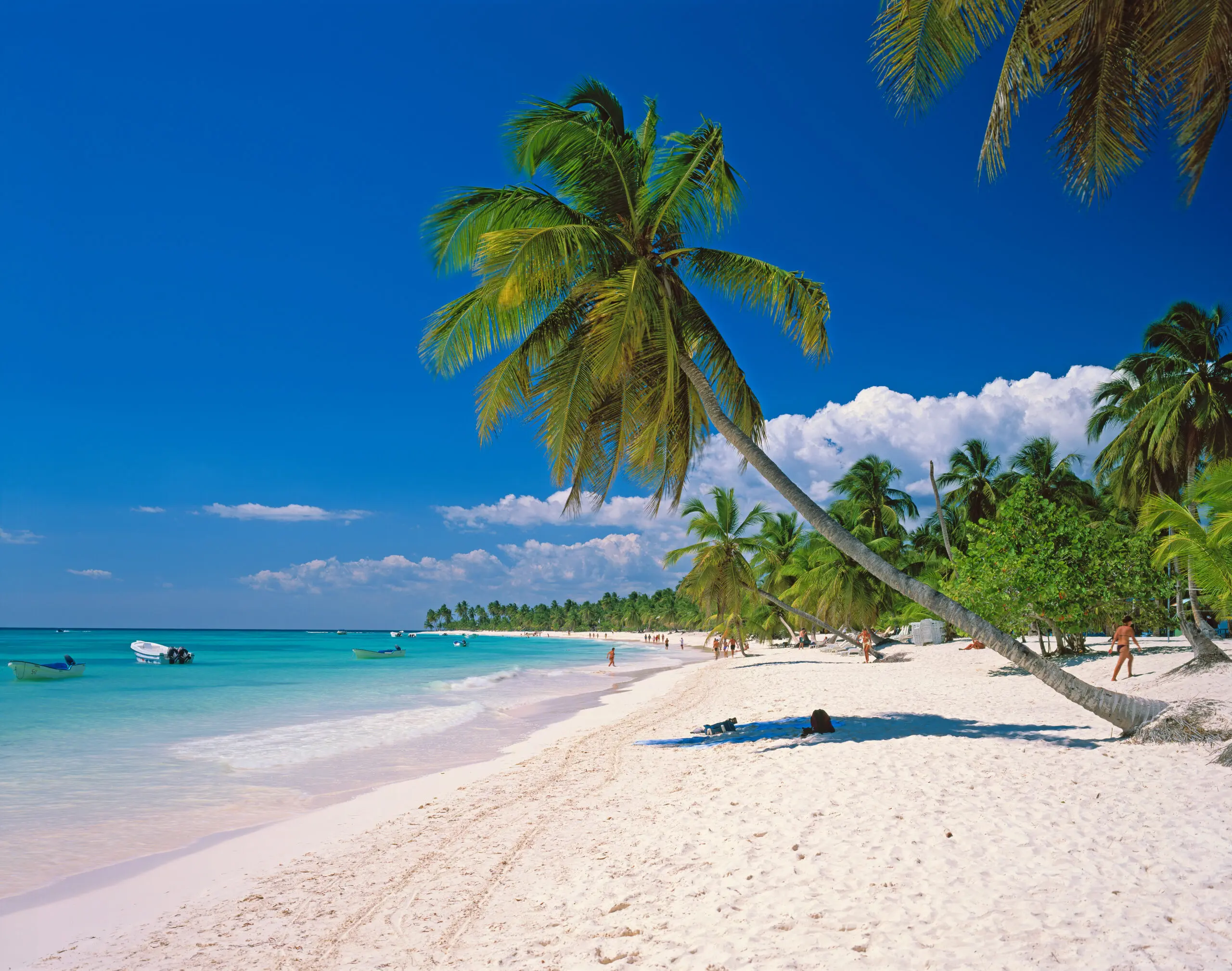 Wandbild (4562) Gräfenhain – Isla Saona präsentiert: Menschen,Wasser,Natur,Landschaften,Bäume,Sonstige Pflanzen,Sommer,Strände,Gewässer,Menschengruppen,Meere