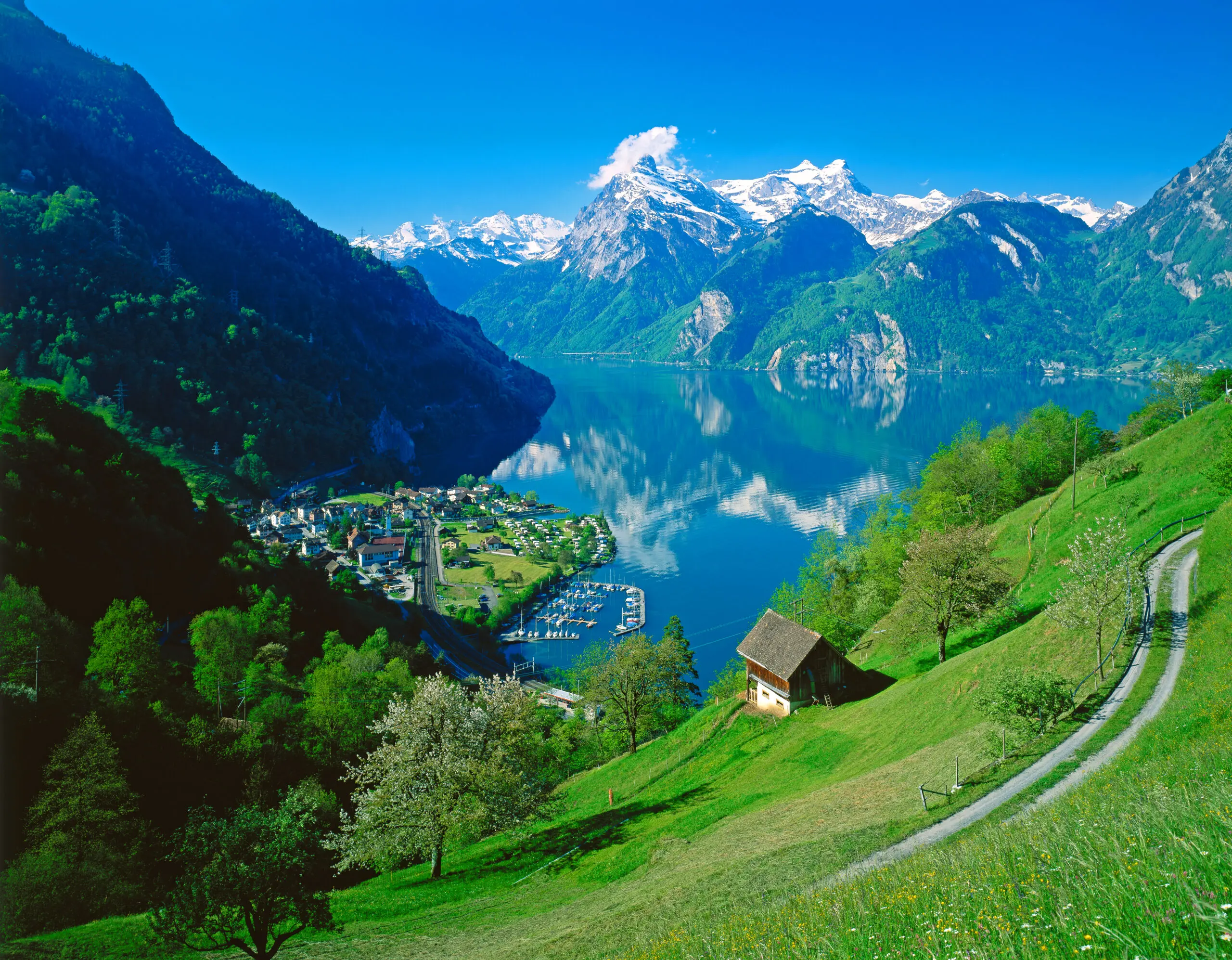 Wandbild (4559) Grafenhain – Blick auf den See präsentiert: Wasser,Architektur,Natur,Landschaften,Häuser,Sonstige Architektur,Sehenswürdigkeiten,Bäume,Blumen und Blüten,Berge,Frühling,Luftaufnahmen,Seen,Wasserspiegelungen