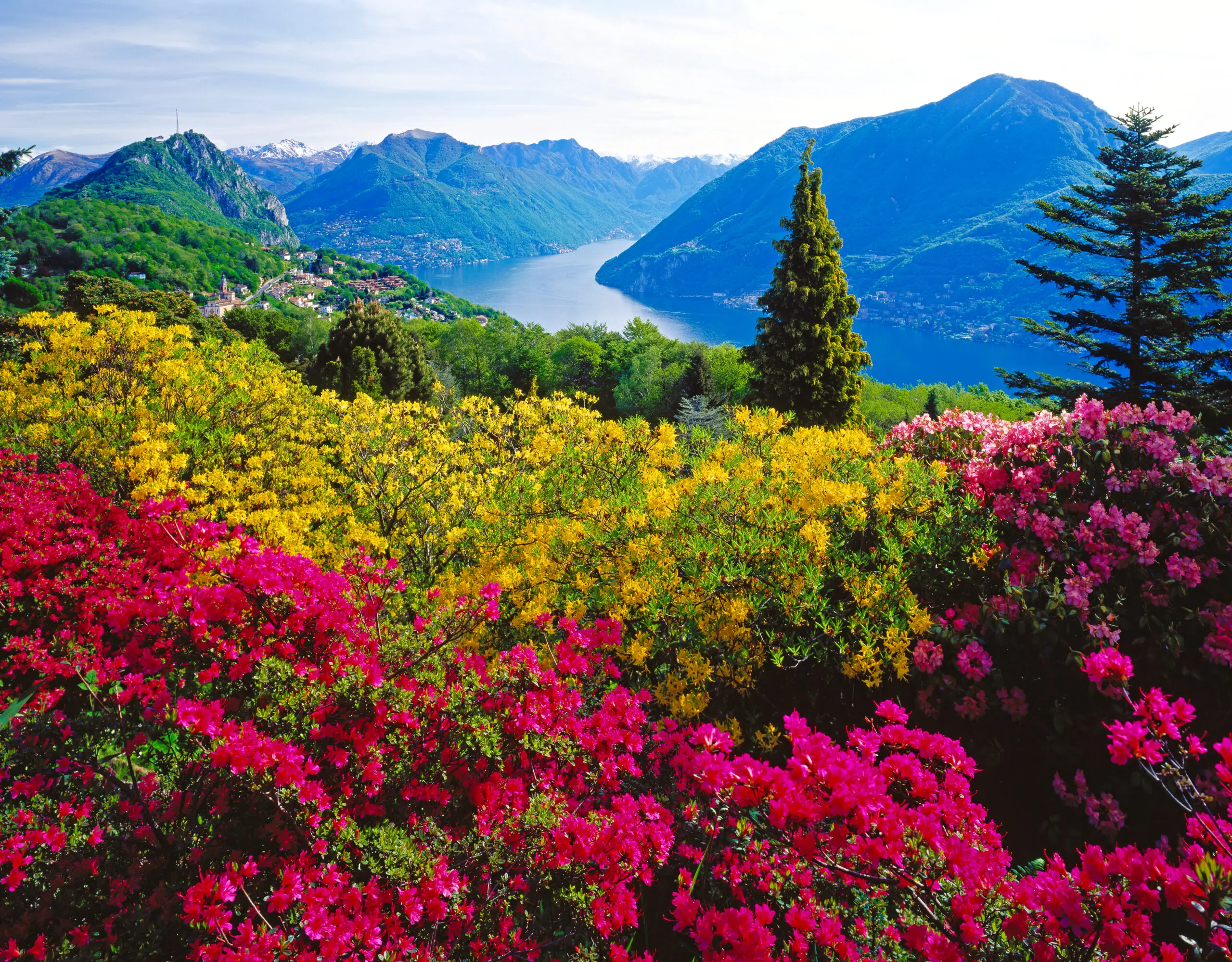 Wandbild (4555) Gräfenhain – Botanischer Garten San Grato präsentiert: Wasser,Natur,Landschaften,Bäume,Blätter,Blumen und Blüten,Sommer,Berge,Frühling,Gewässer,Luftaufnahmen,Seen