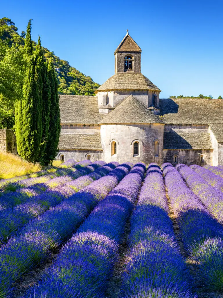  (4544) Kremer Susanne – Lavendelfeld vor der Abtei Senanque bei Gordes präsentiert: Architektur, Blumen und Blüten, Details und Strukturen, Häuser, Kreatives, Landschaften, Natur, Pflanzen, Sommer, Sonstige Architektur, Sonstige Naturdetails, Sonstige Pflanzen