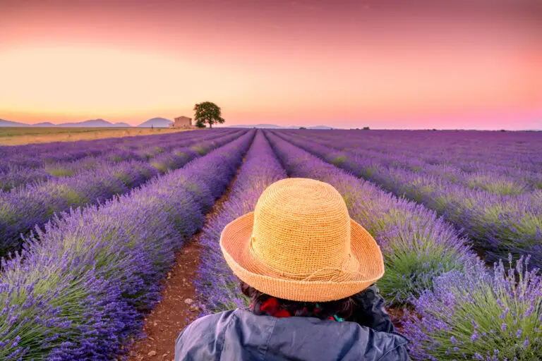  (4543) Kremer Susanne – Frau mit Strohhut präsentiert: Bäume, Blätter, Blumen und Blüten, Frauen, Landschaften, Menschen, Natur, Sommer, Sonstige Pflanzen