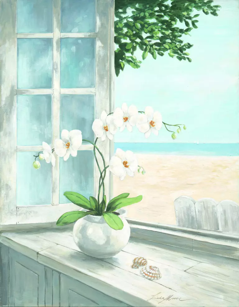  (5002) Seashell präsentiert: Floral, Kreatives, Landschaften, Sommer, Sonstige Stillleben, Stillleben, Strände