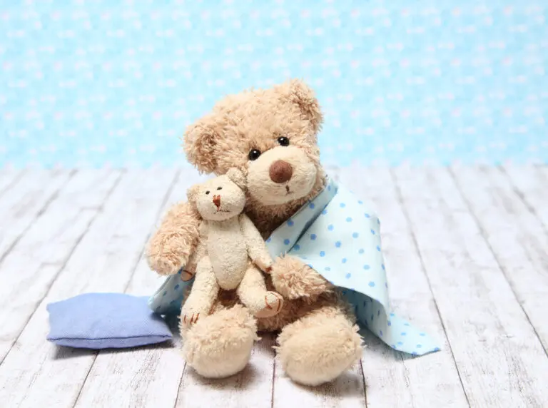 Bärenstarke Kuschelzeit