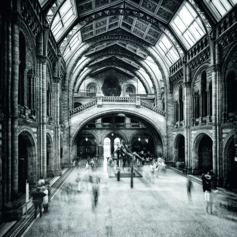  (5084) Natural History Museum by S.P. Buye präsentiert: Architektur, Architekturdetails, Details und Strukturen, Häuser, Kreatives, Menschen, Menschengruppen, Sehenswürdigkeiten, Sonstige Architektur