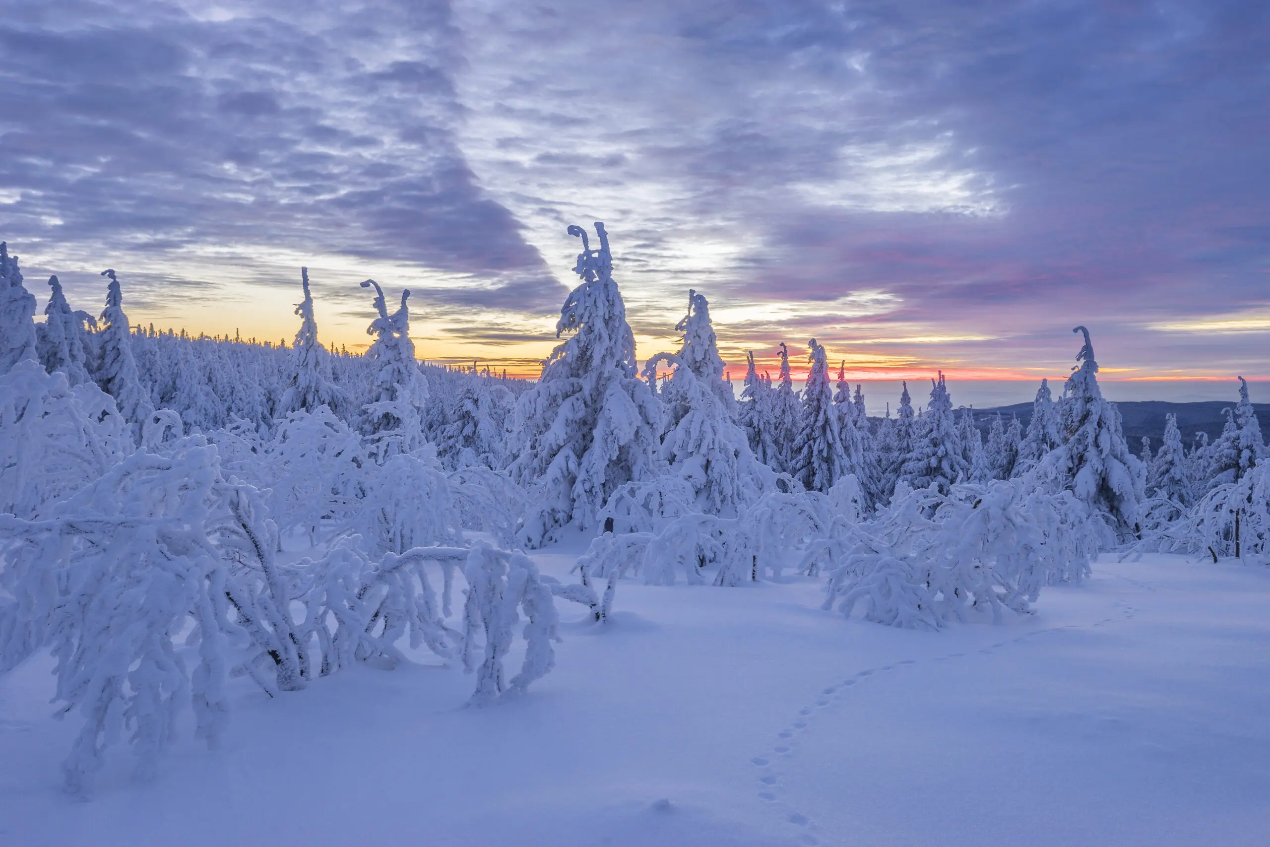 Winter im Harz