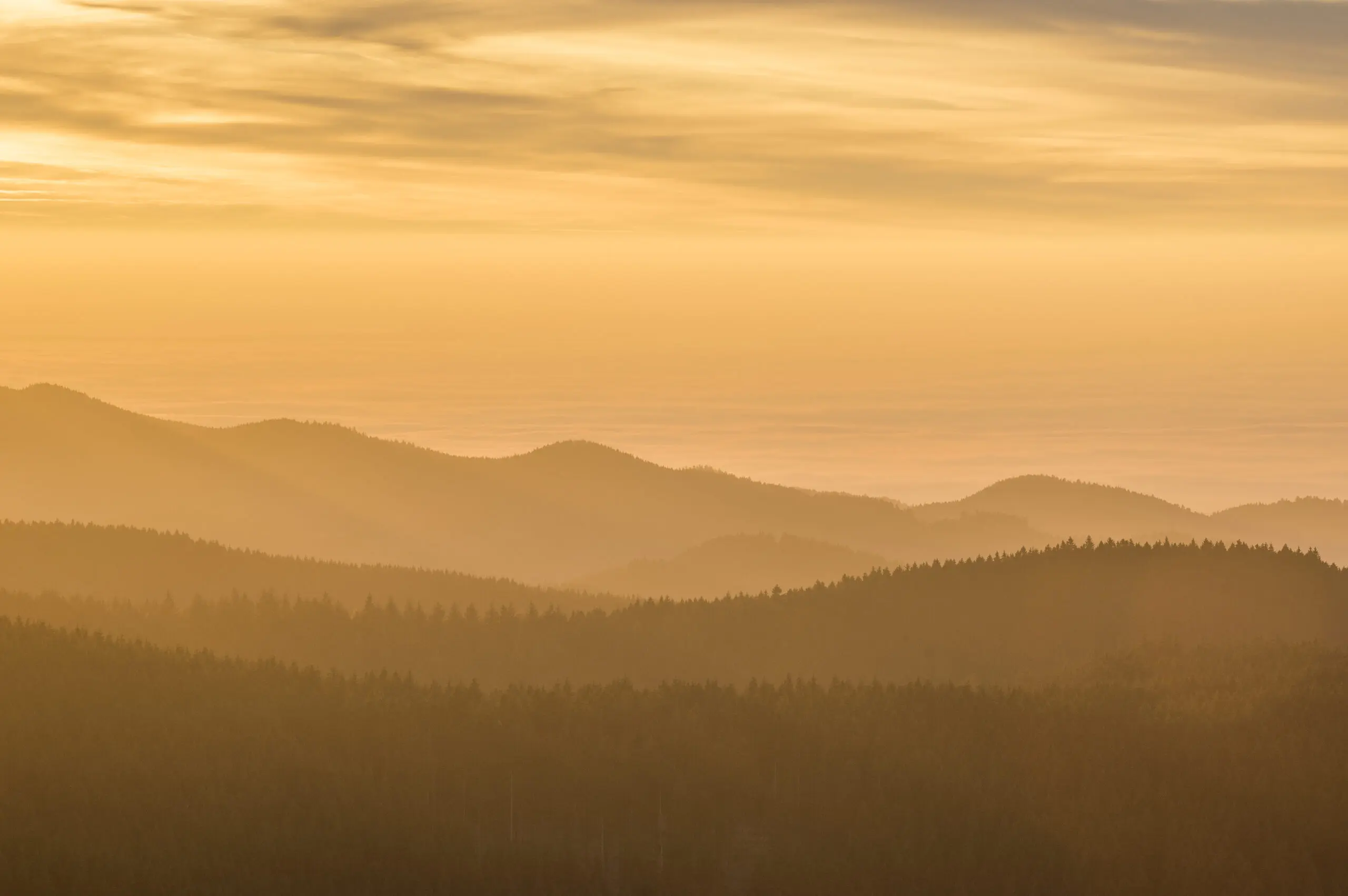 Harzer Berge im Herbst