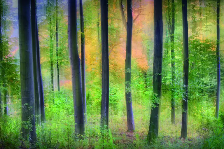  (5231) dreamy by Burger Jochen präsentiert:  