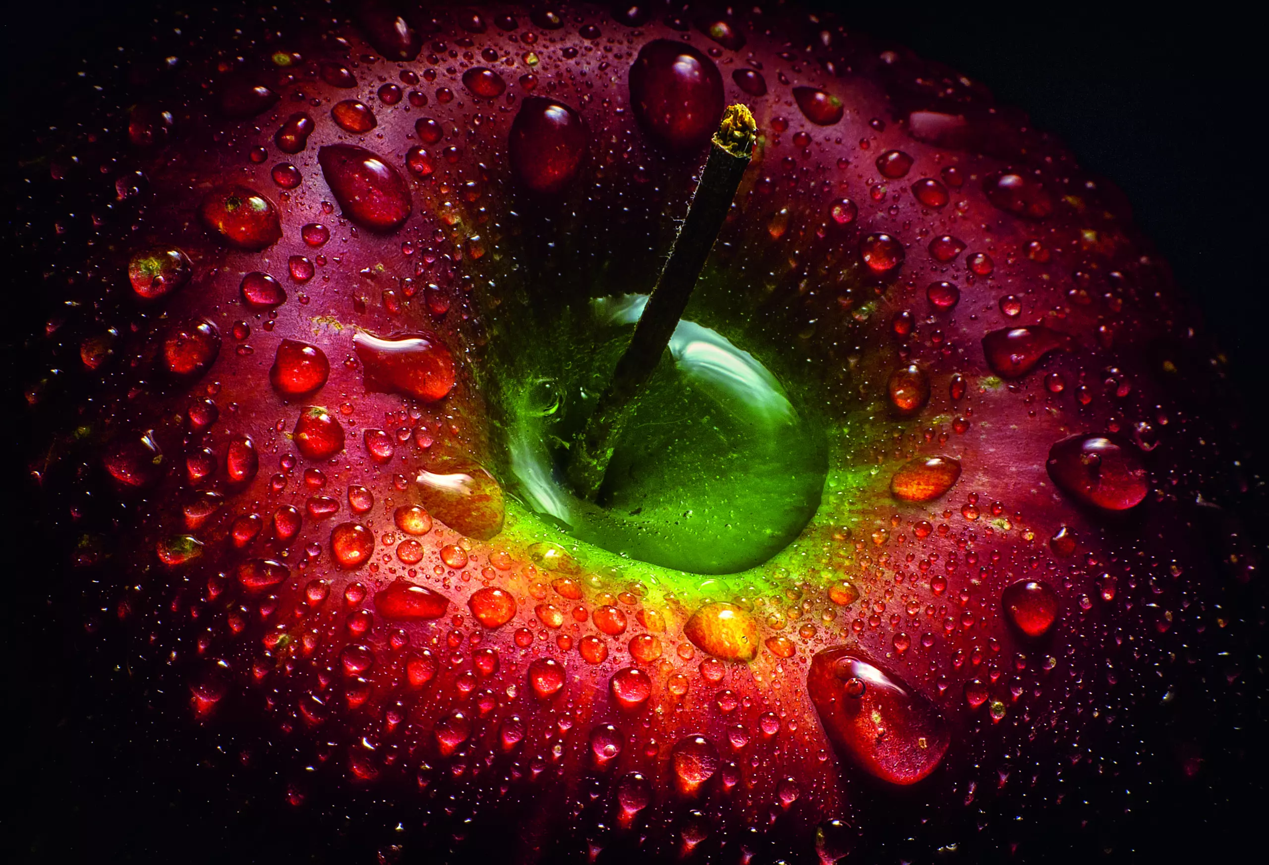 Wandbild (5276) Red Apple by Aida Ianeva präsentiert: Stillleben,Wasser,Kreatives,Details und Strukturen,Natur,Makro,Essen und Getr&auml;nke,Wassertropfen,Sonstiges Kreatives,Sonstige Naturdetails