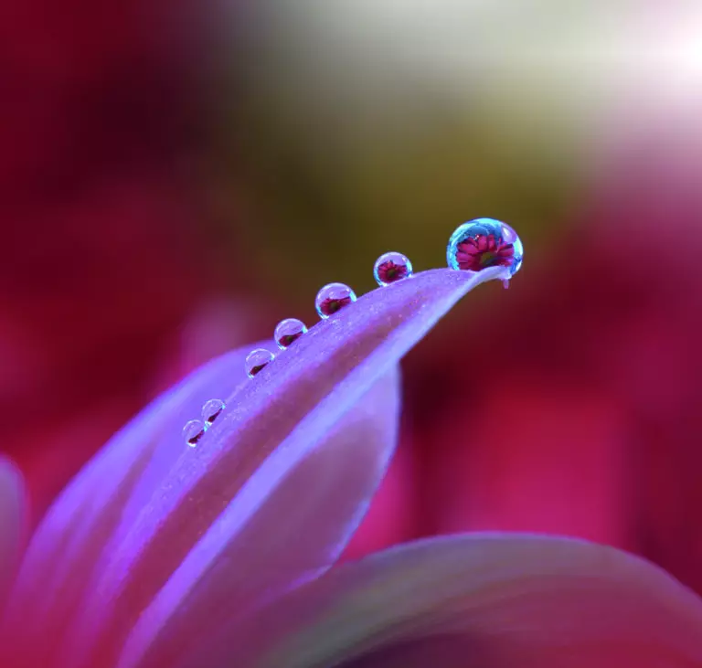 Behind Closed Eyes... by Juliana Nan