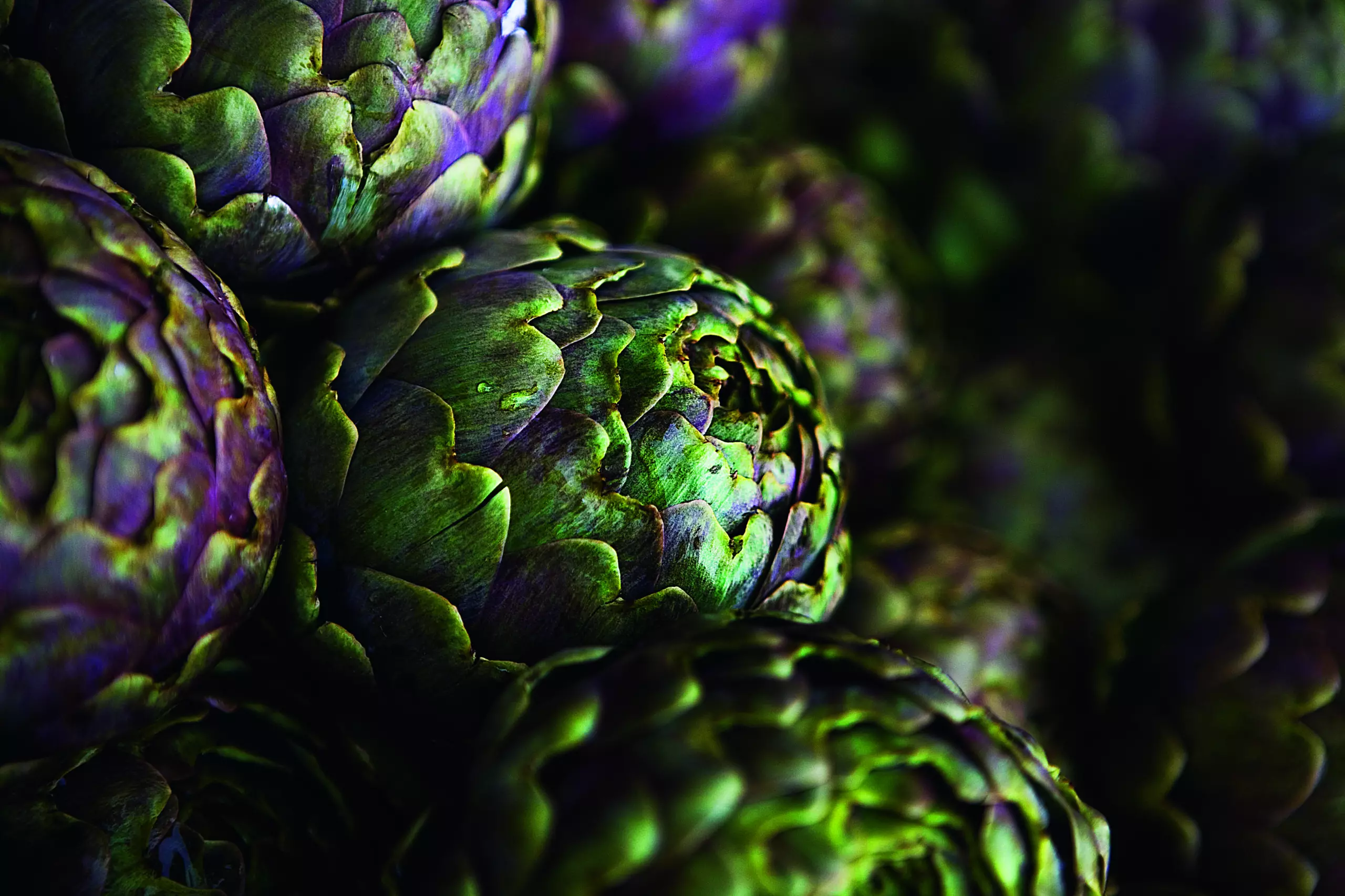 Wandbild (5354) Artichokes by Luigi Vaccarella/HUBER IMAGES präsentiert: Stillleben,Details und Strukturen,Natur,Sonstige Pflanzen,Essen und Getränke,Sonstige Naturdetails,Pflanzen