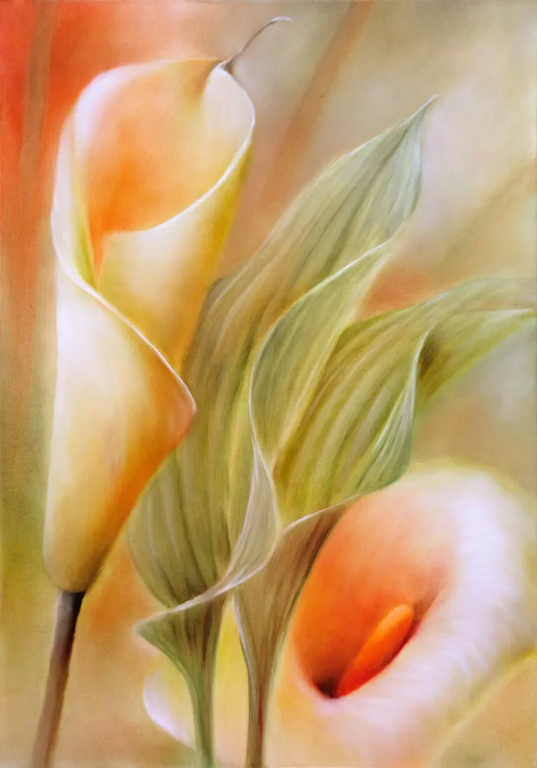 Callas