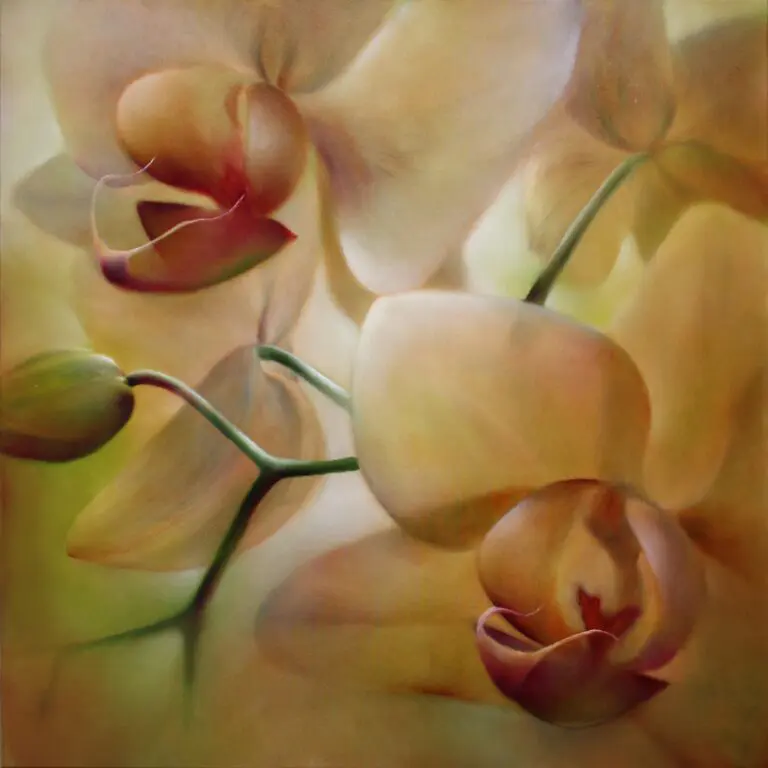Orchideen
