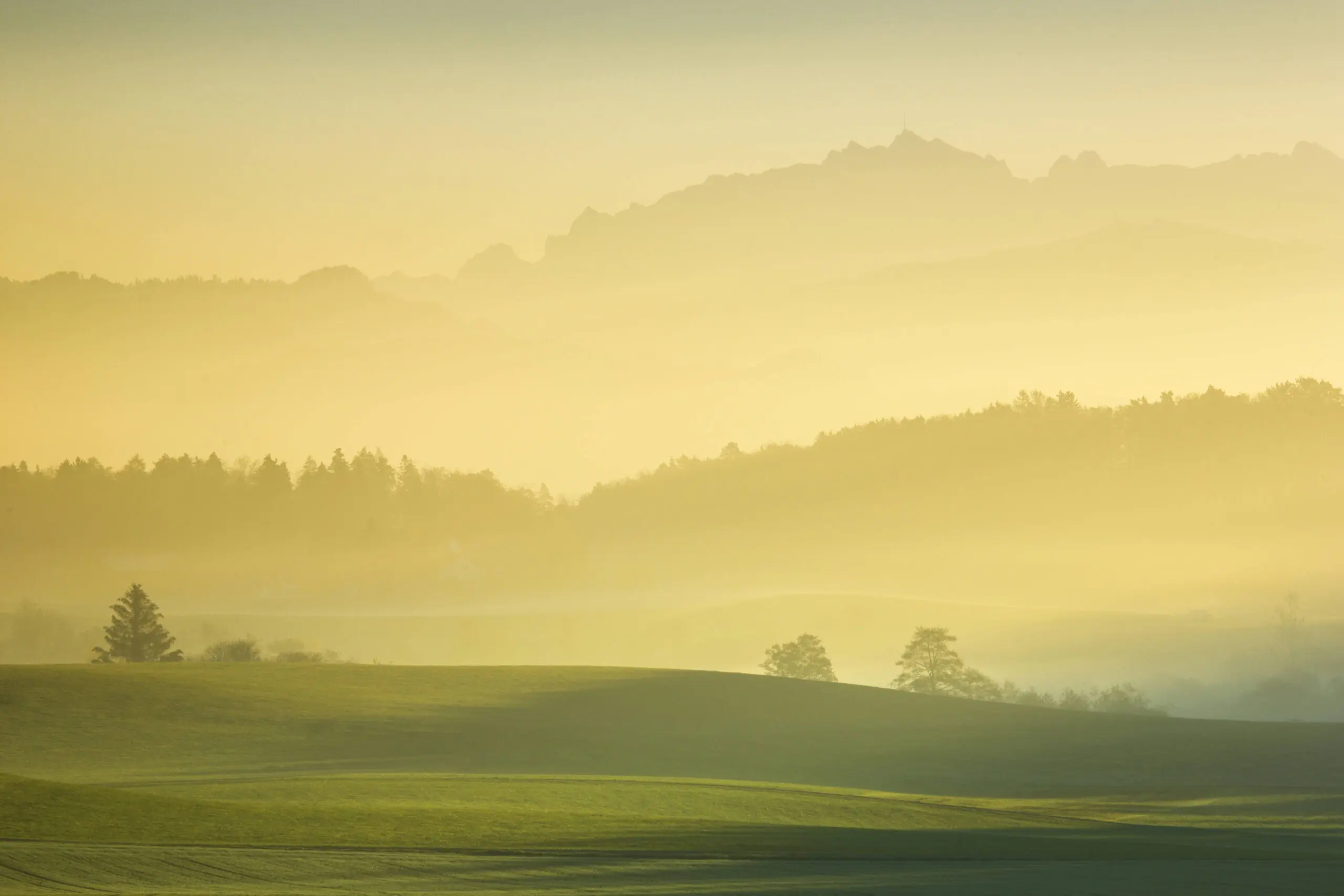 Wandbild (5462) In the morning by picture alliance / Prisma präsentiert: Landschaften,Herbst