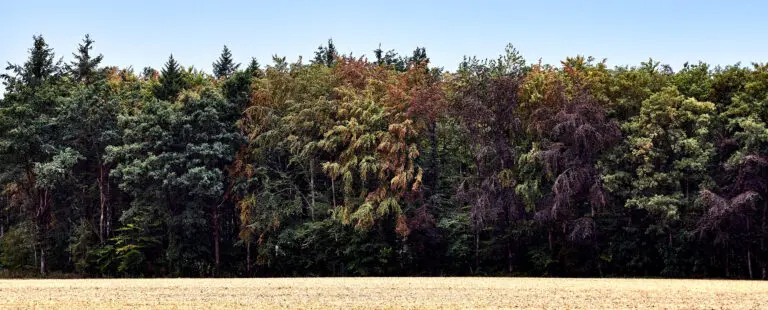 Herbstkleider