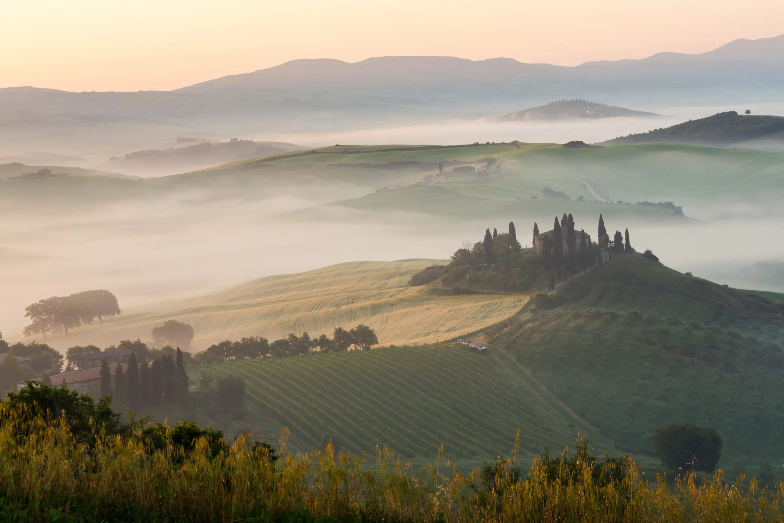 October morning by picture alliance / Mint Images