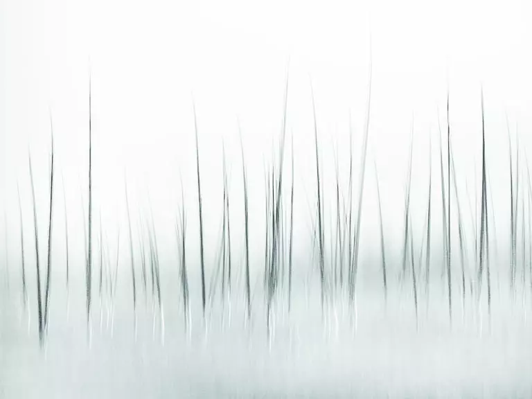  (5586) Winter Scenery by Charles Lai,1x.com präsentiert:  