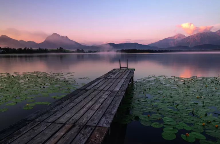 Steg am Hopfensee by Martha Feustel