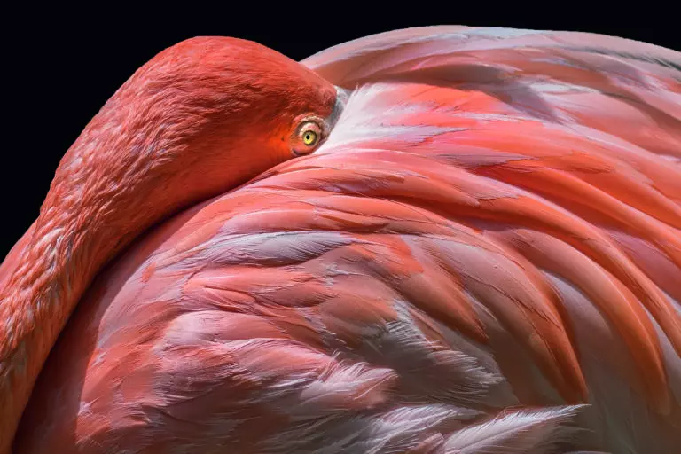  (5717) Peek by Els Keurlinckx, 1x.com präsentiert:  