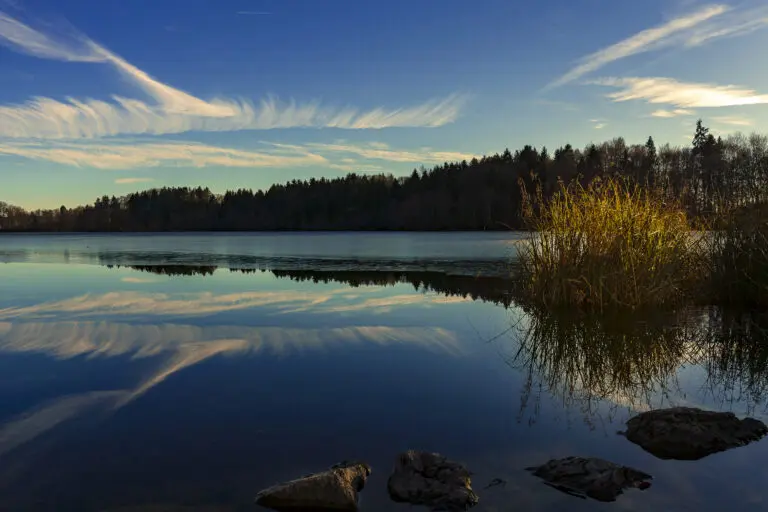  (5794) Steinsee präsentiert: Gewässer, Landschaften, Seen, Wälder, Wasser, Wasserspiegelungen, Winter