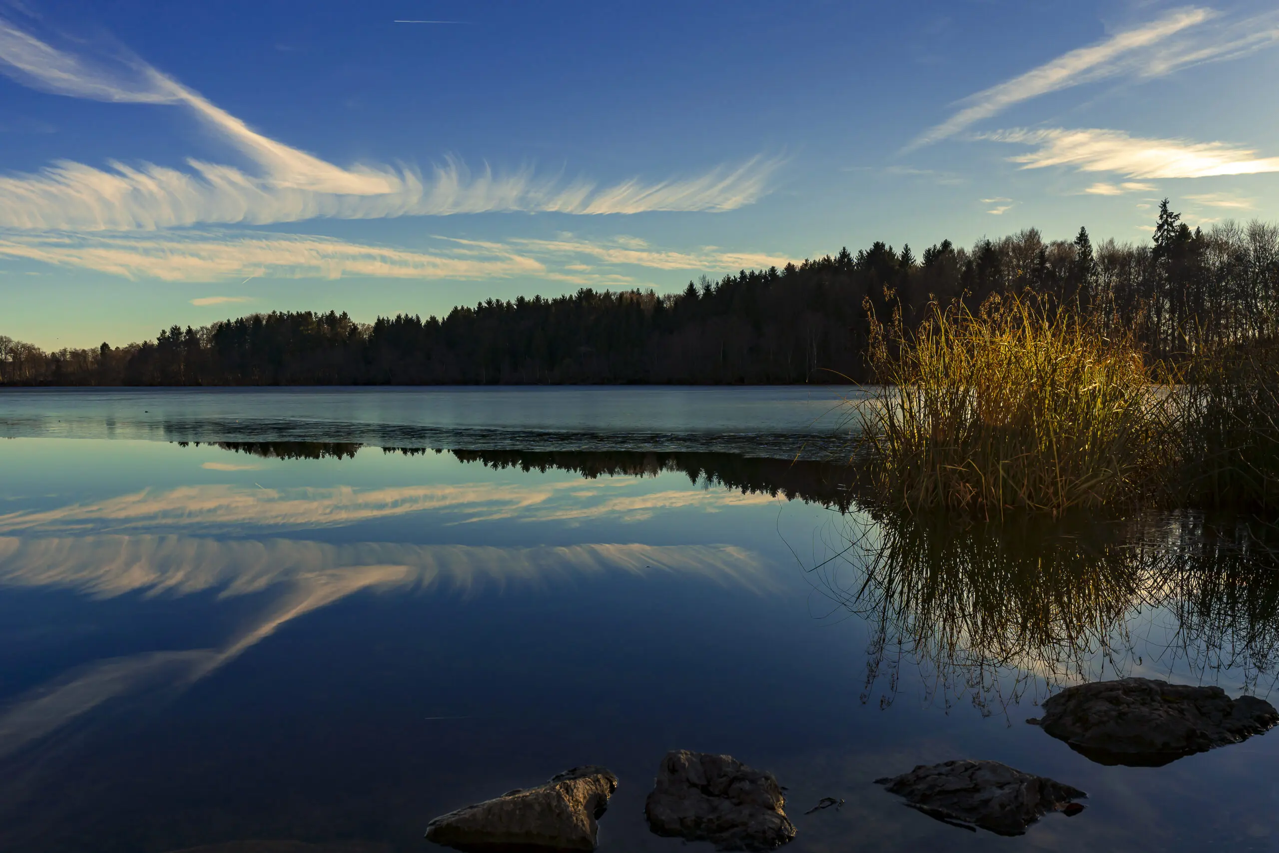 Wandbild (5794) Steinsee präsentiert: Wasser,Landschaften,Wälder,Winter,Gewässer,Seen,Wasserspiegelungen