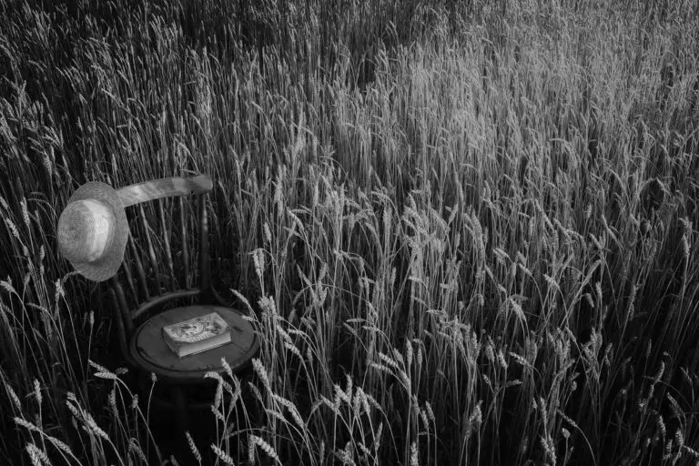  (5824) Untitled by Stephen Clough,1x.com präsentiert: Gräser, Kreatives, Natur, Retro, Sonstige Pflanzen, Sonstige Stillleben, Sonstiges Kreatives, Stillleben