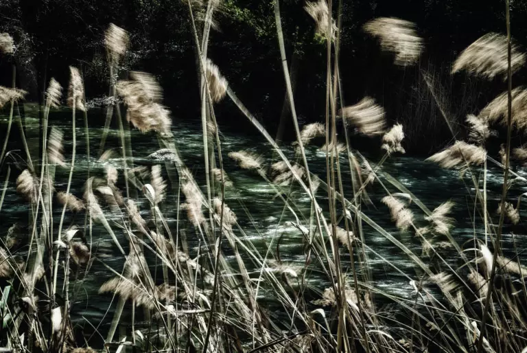  (5828) Wind by 101872,1x.com präsentiert:  