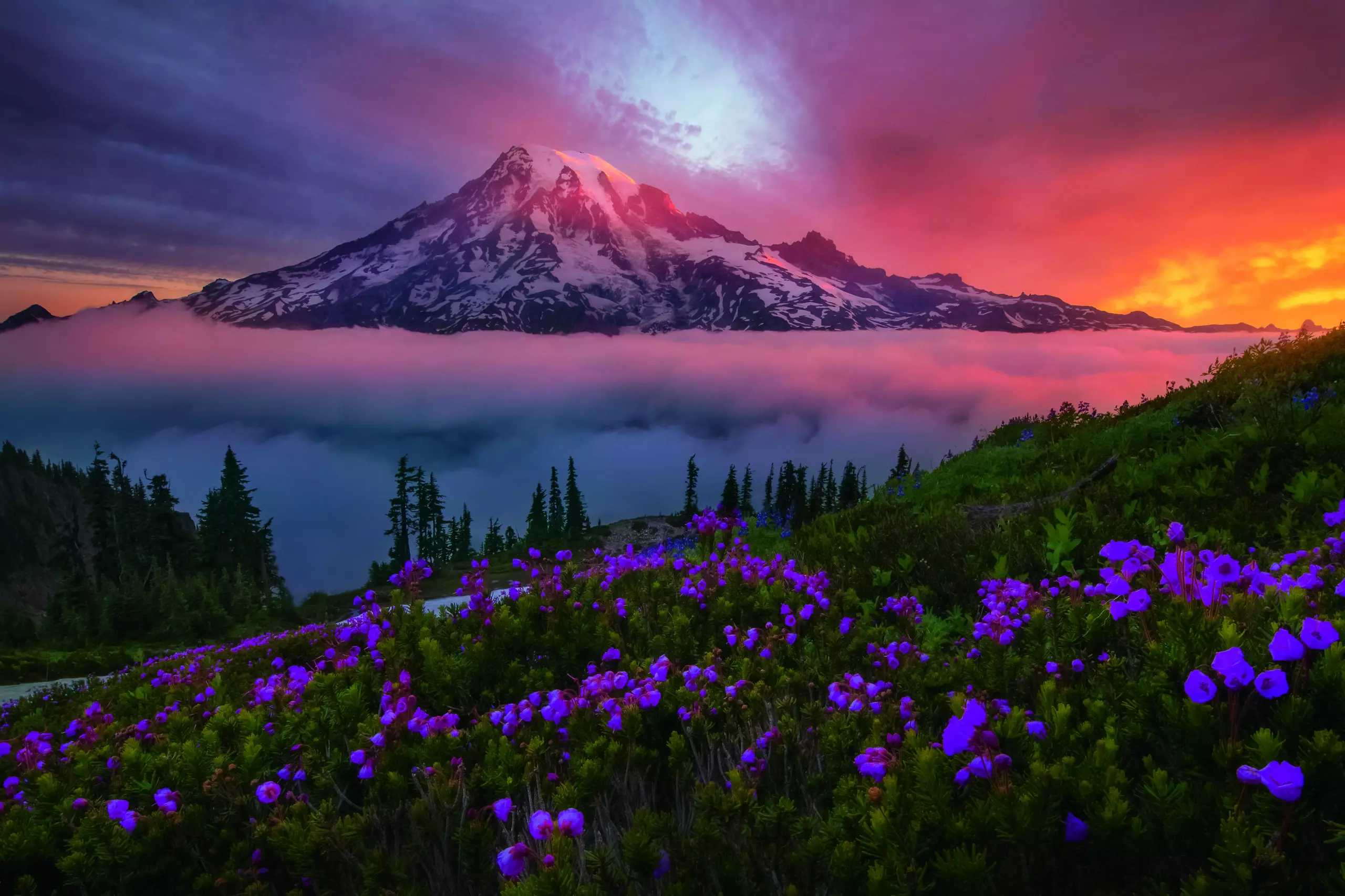 Wandbild (5839) A moment in time by Chris Moore,1x.com präsentiert: Natur,Landschaften,Blumen und Blüten,Gräser,Sommer,Berge