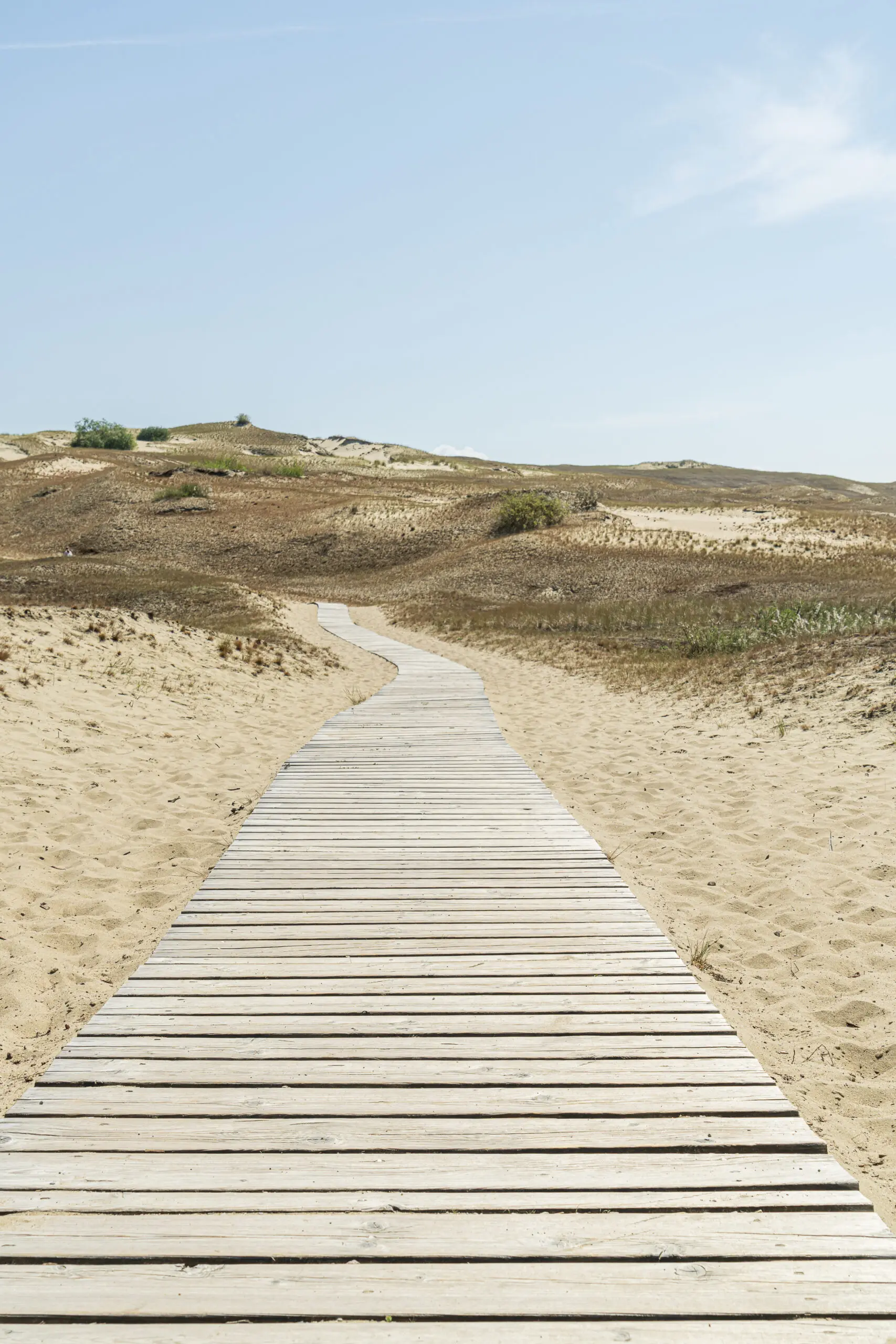 Wandbild (5893) Zum Strand by Judith Grote präsentiert: Details und Strukturen,Natur,Landschaften,Gräser,Sommer,Stege,Wege,Sonstige Naturdetails